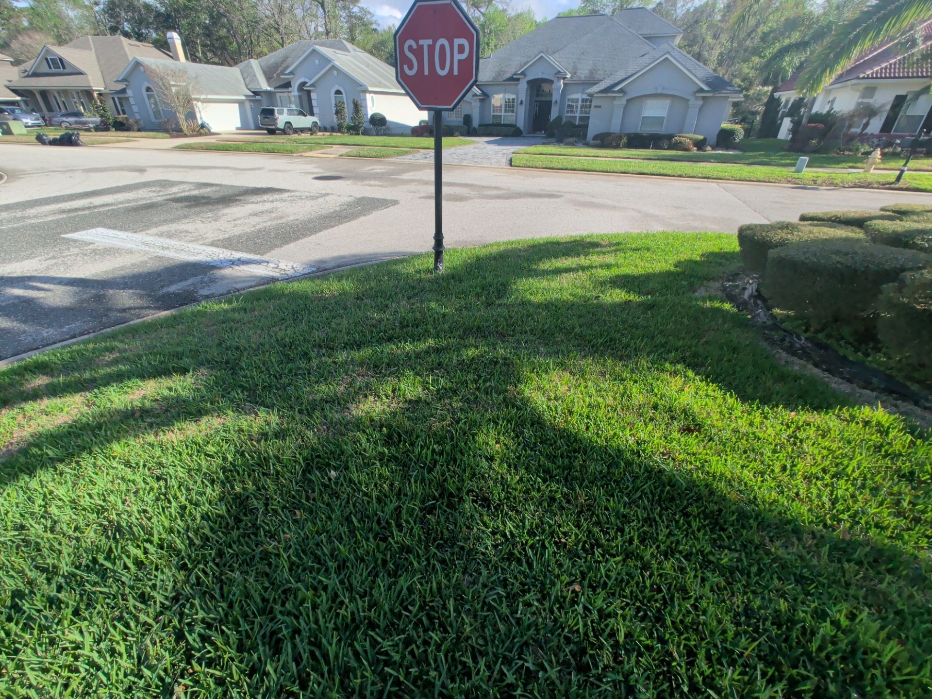 Stop sign at a sunny suburban street corner with green grass and houses in the background