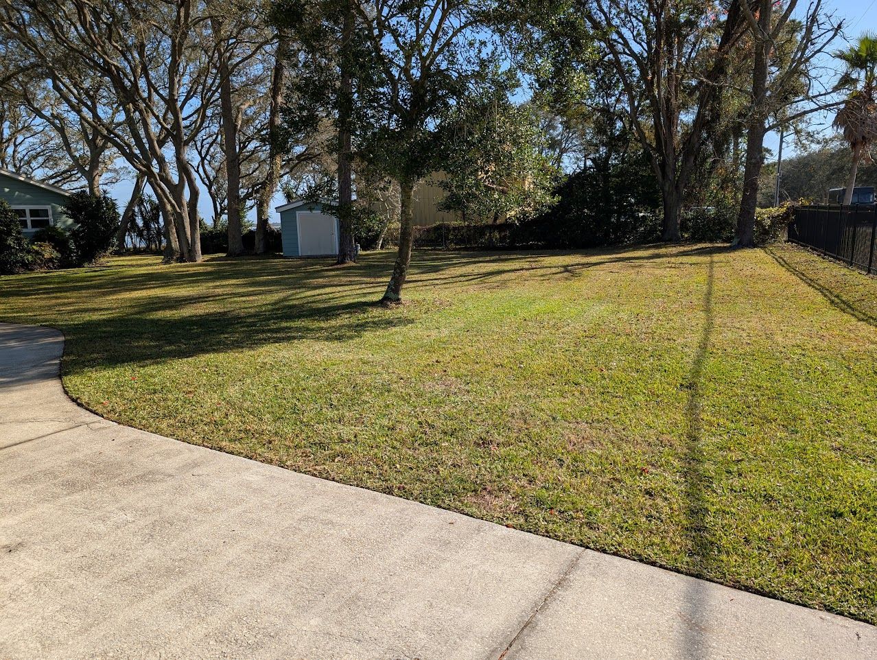 Grassy yard with a curved concrete driveway, trees, and a shed under a bright blue sky.