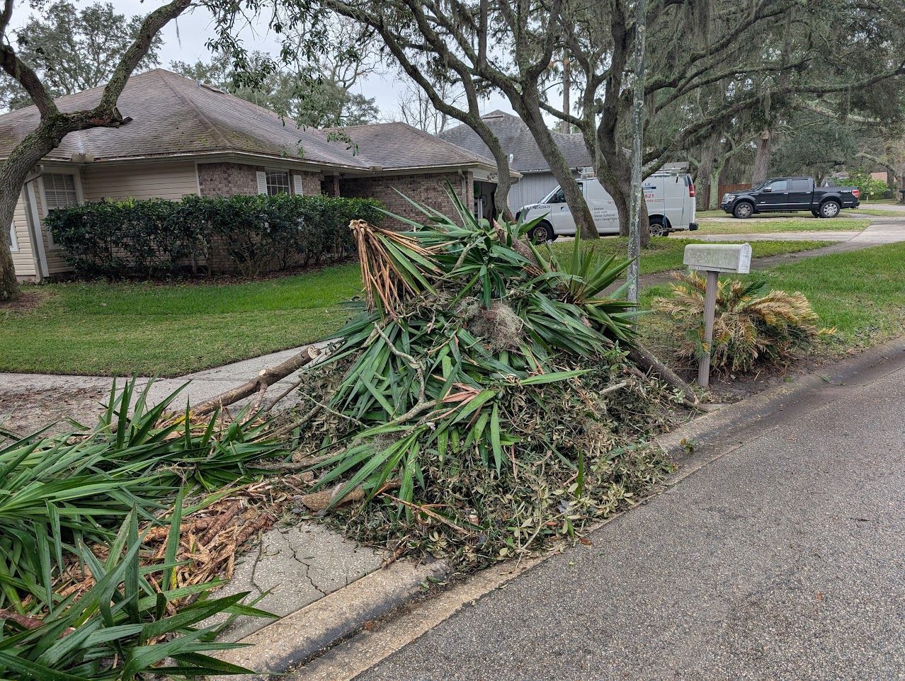 Pile of green yard waste on curb near a residential home and mailbox.