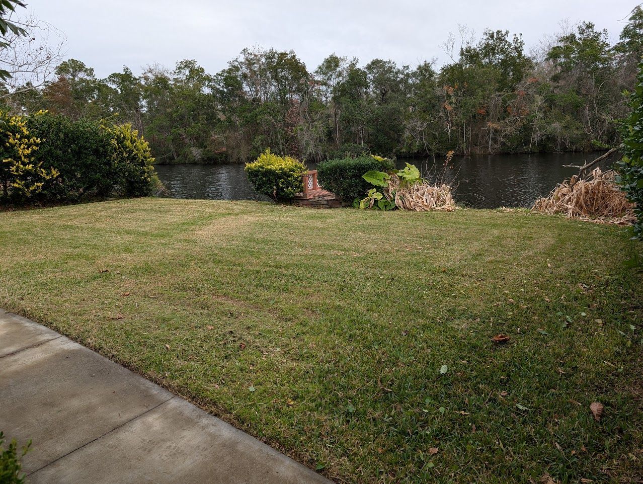 Lush green lawn borders a dark waterway lined with trees and bushes. Overcast sky.