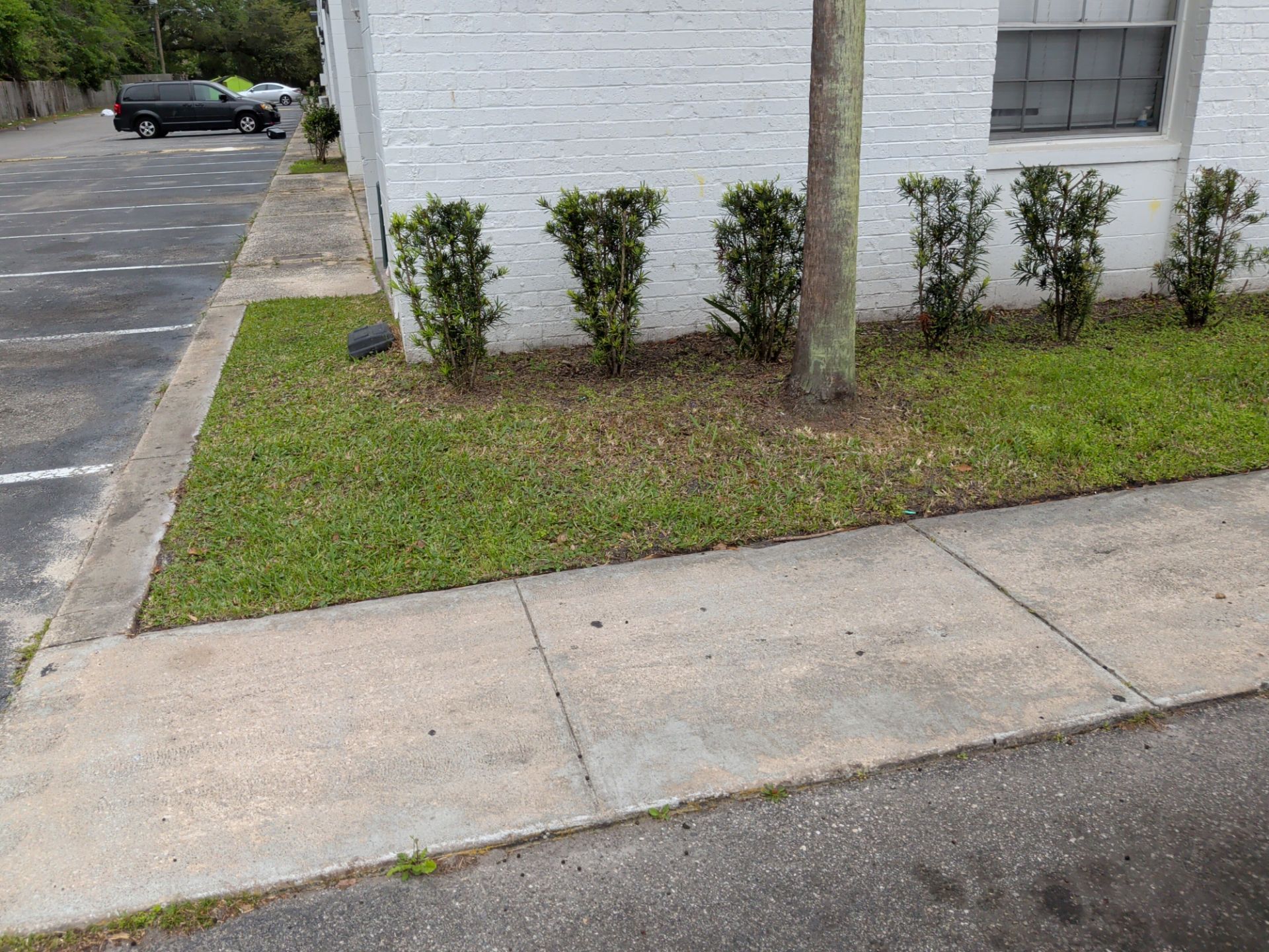 Sidewalk beside a white building with small shrubs and a tree, next to a parking lot