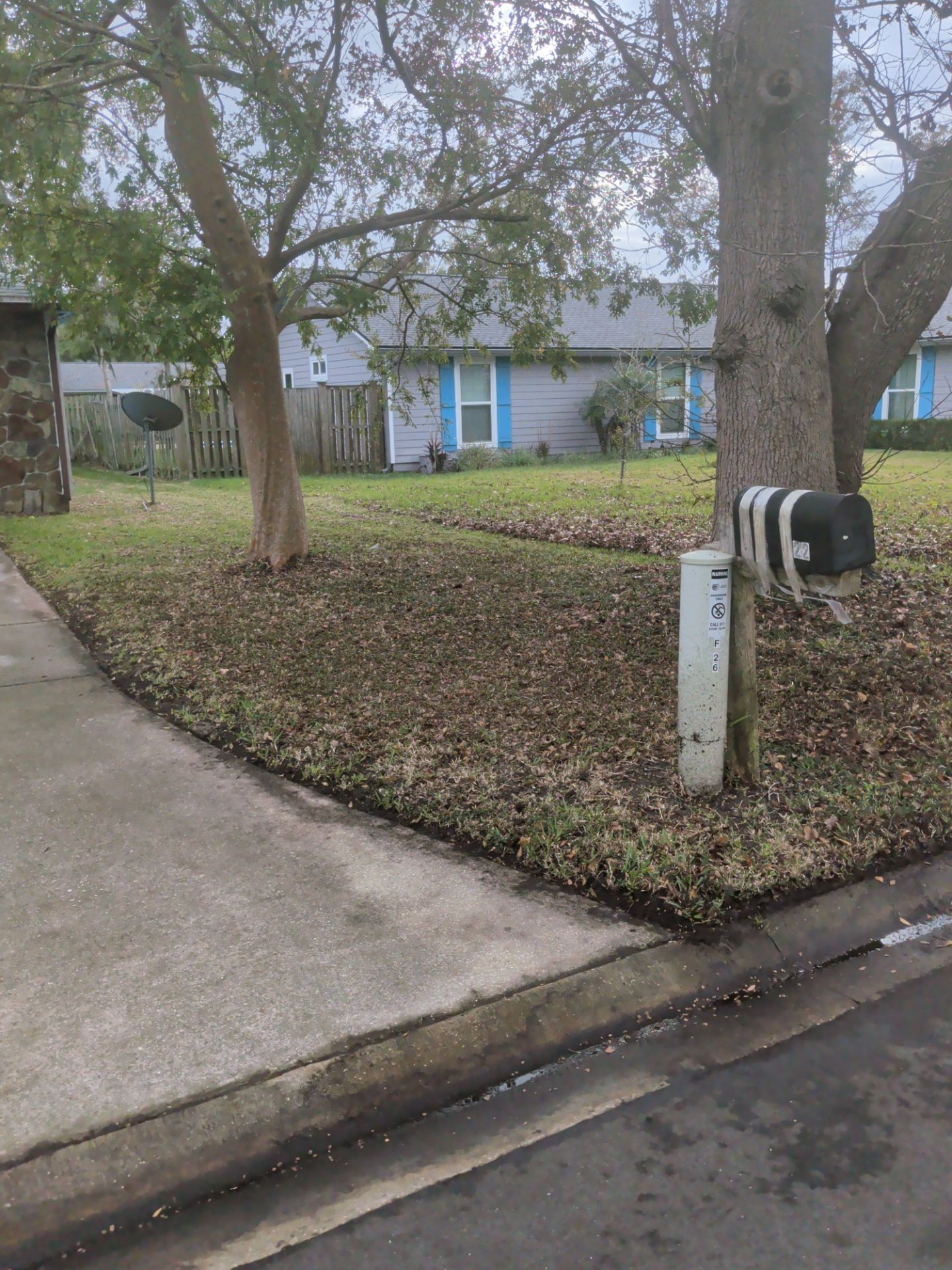 Sidewalk leading to a house with a mailbox, trees, and grass covered in leaves.