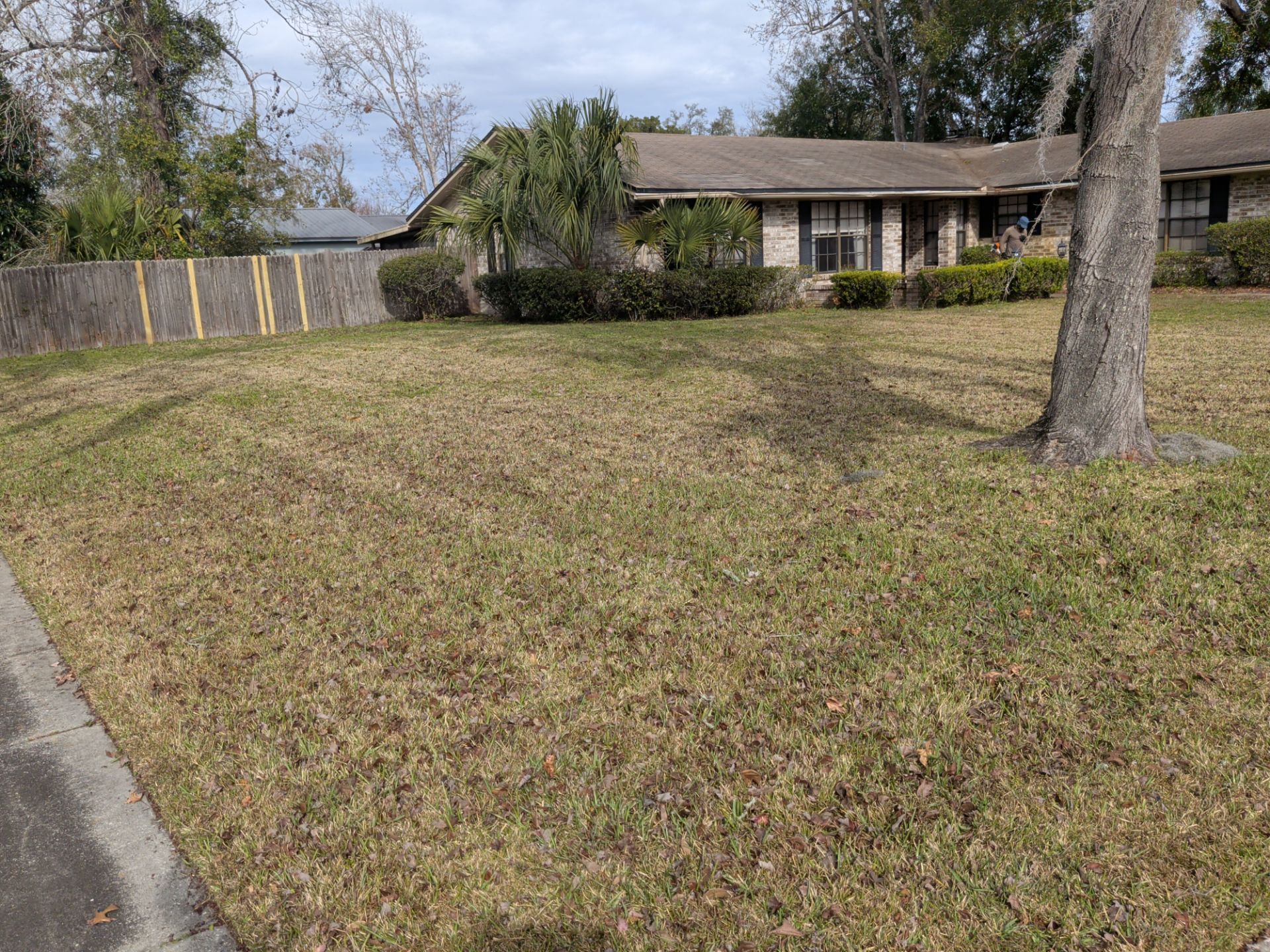 Brown lawn slopes up to a single-story house with dark shutters and a tree. A fence is on the left.