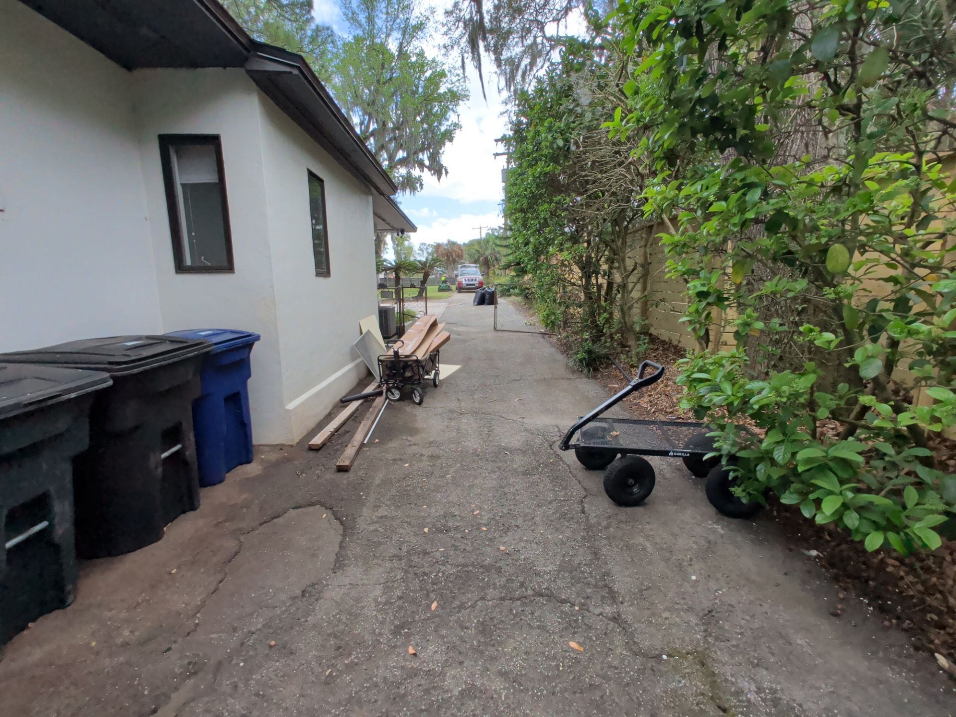 Narrow side yard beside a white house, with trash bins, lumber, a wheelbarrow, and dense greenery.