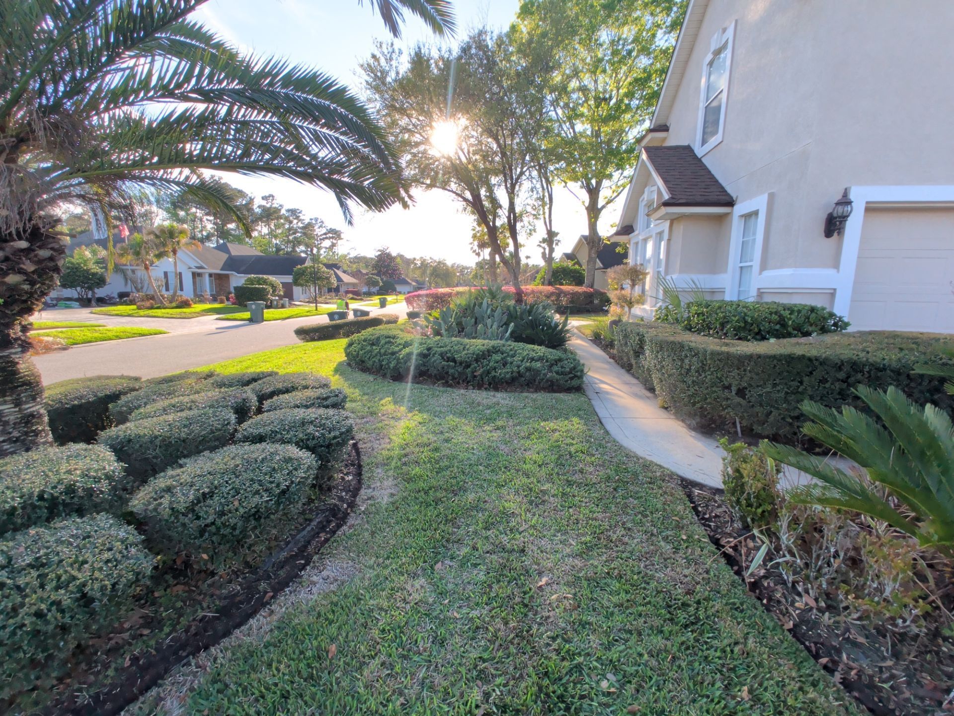 Landscaped front yard with trimmed hedges, palm trees, and a house beside a sunny street.