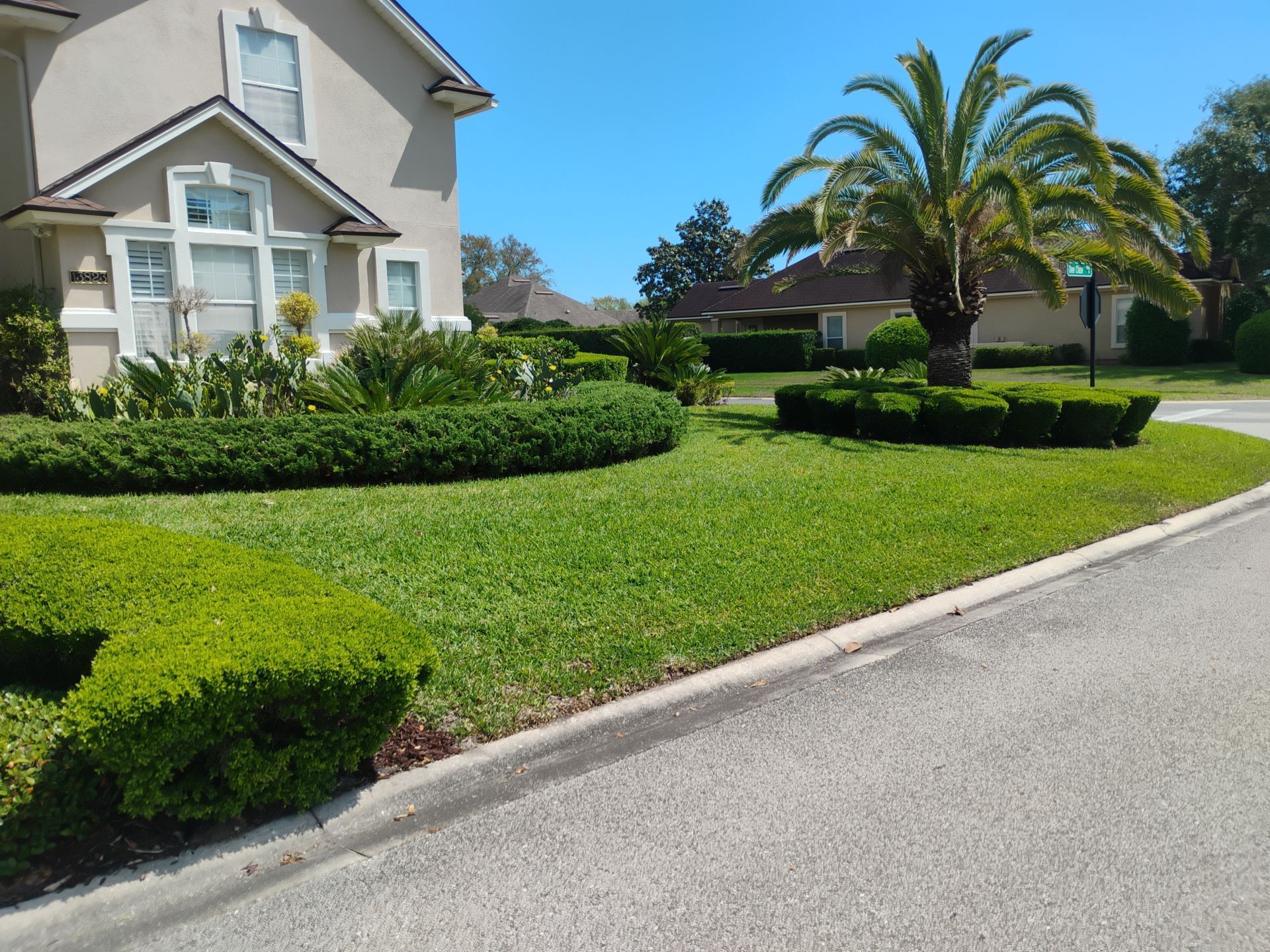 Suburban house with manicured green lawn, palm trees, and a curved driveway on a sunny day