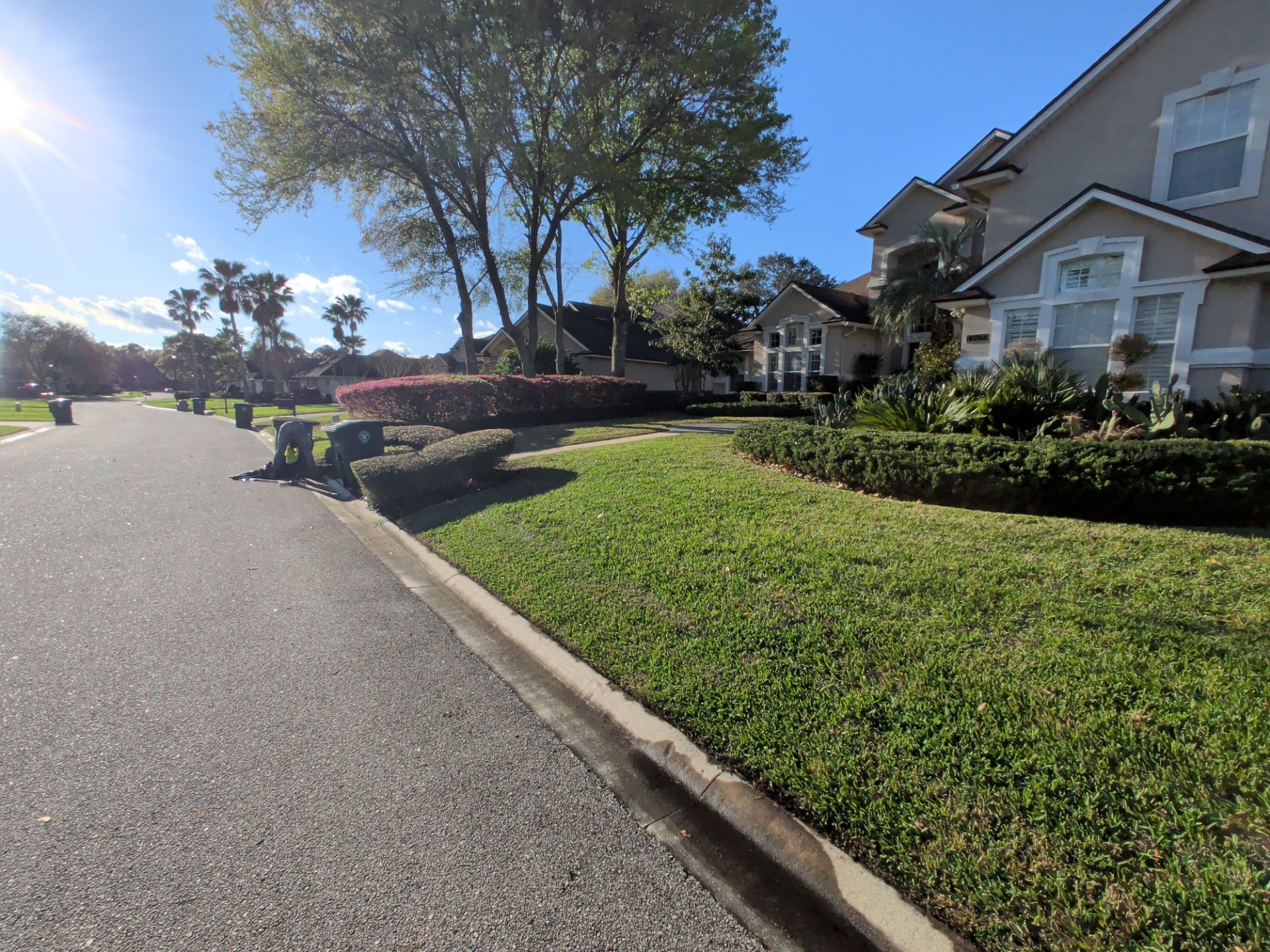 Suburban street with houses, green lawns, and trees on a sunny day