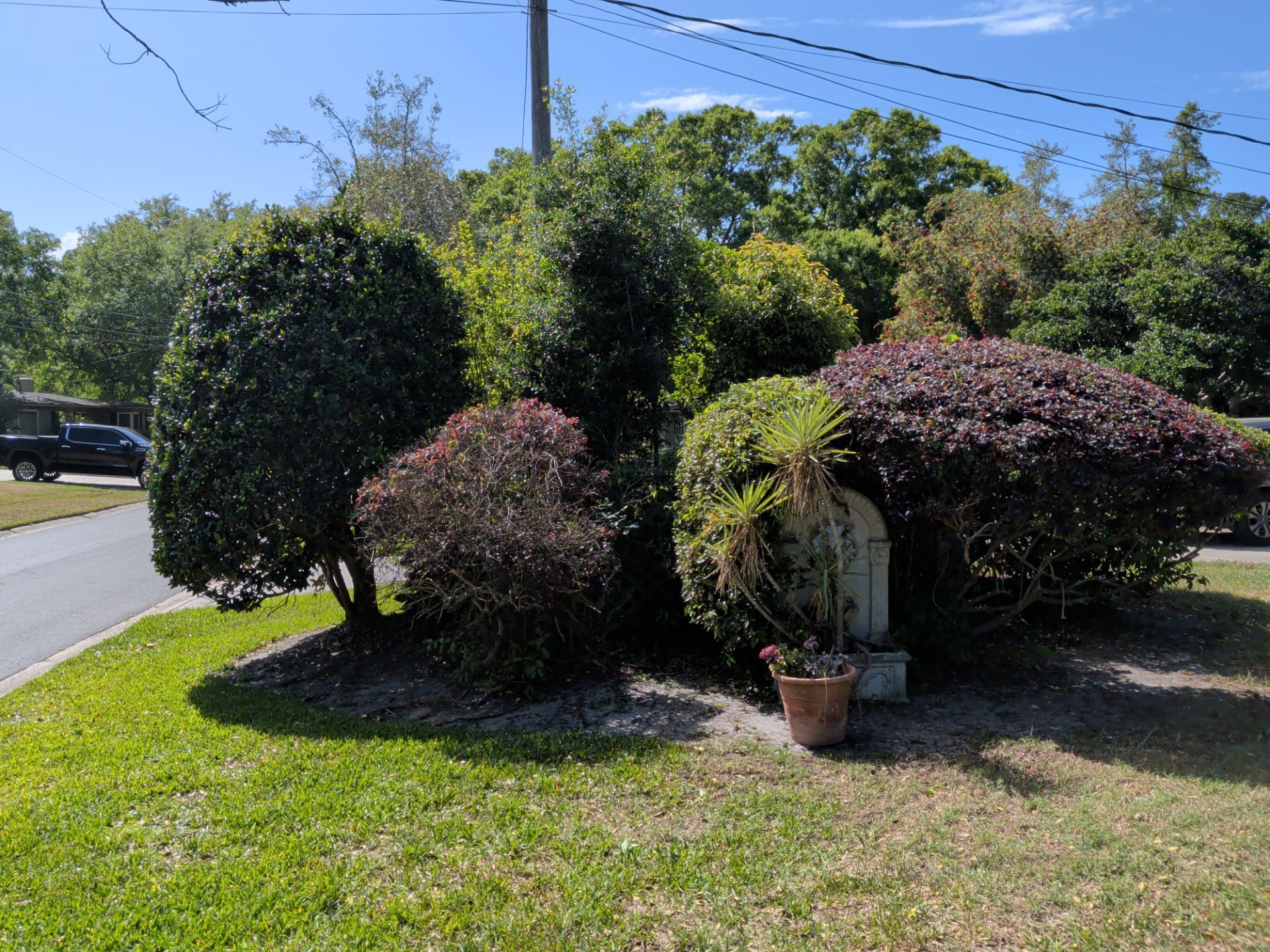 Suburban roadside with manicured shrubs, green lawn, and a small decorative archway by the sidewalk