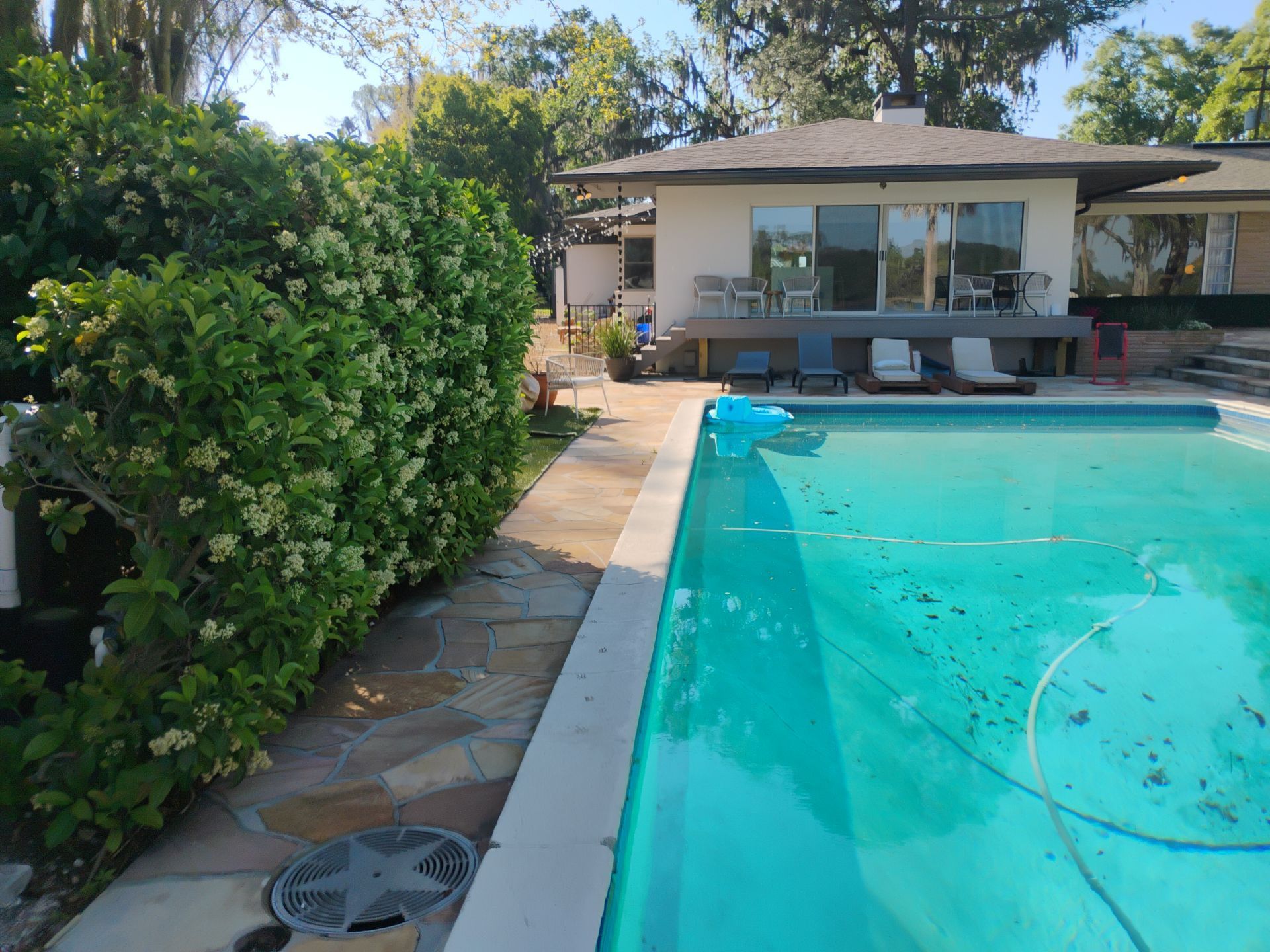 Backyard pool beside a modern patio and house, with lush hedges and blue water.