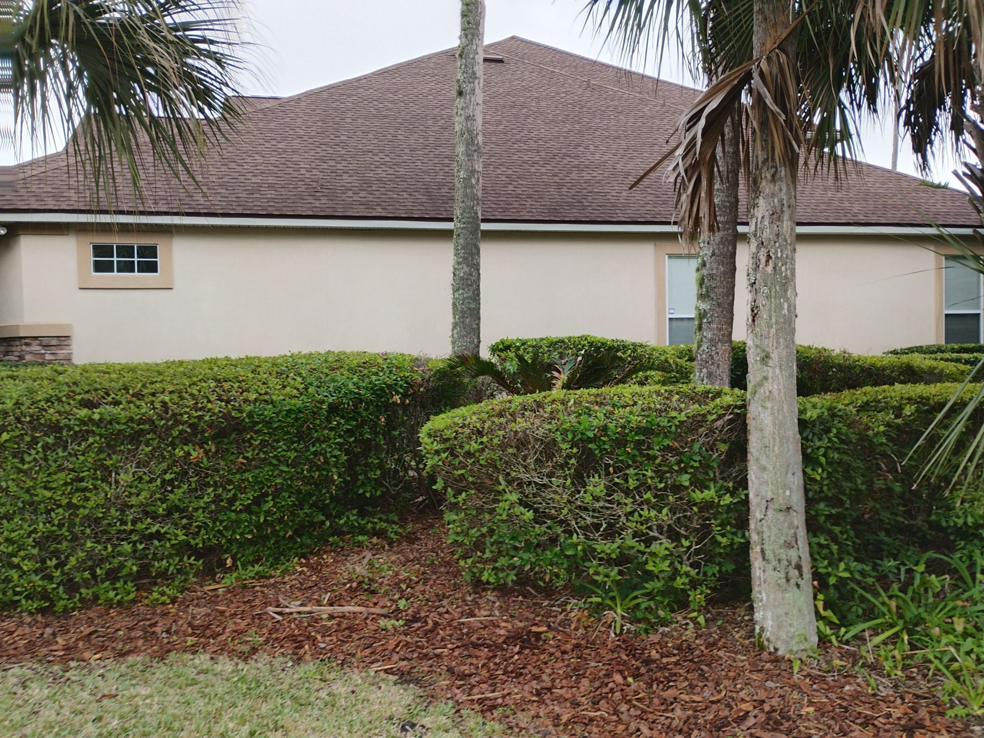 Single-story beige house with a brown shingled roof, trimmed hedges, and palm trees in front