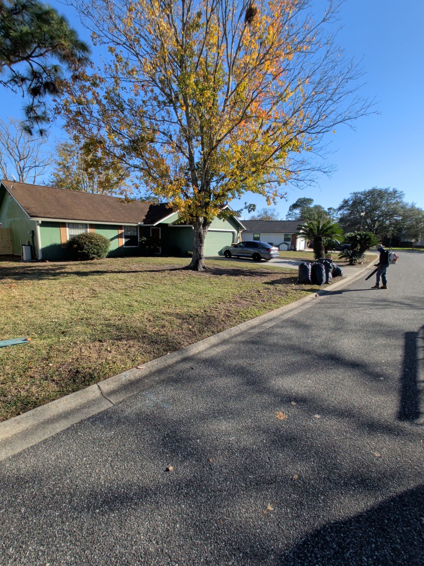 Man using leaf blower near curb and house on sunny day.