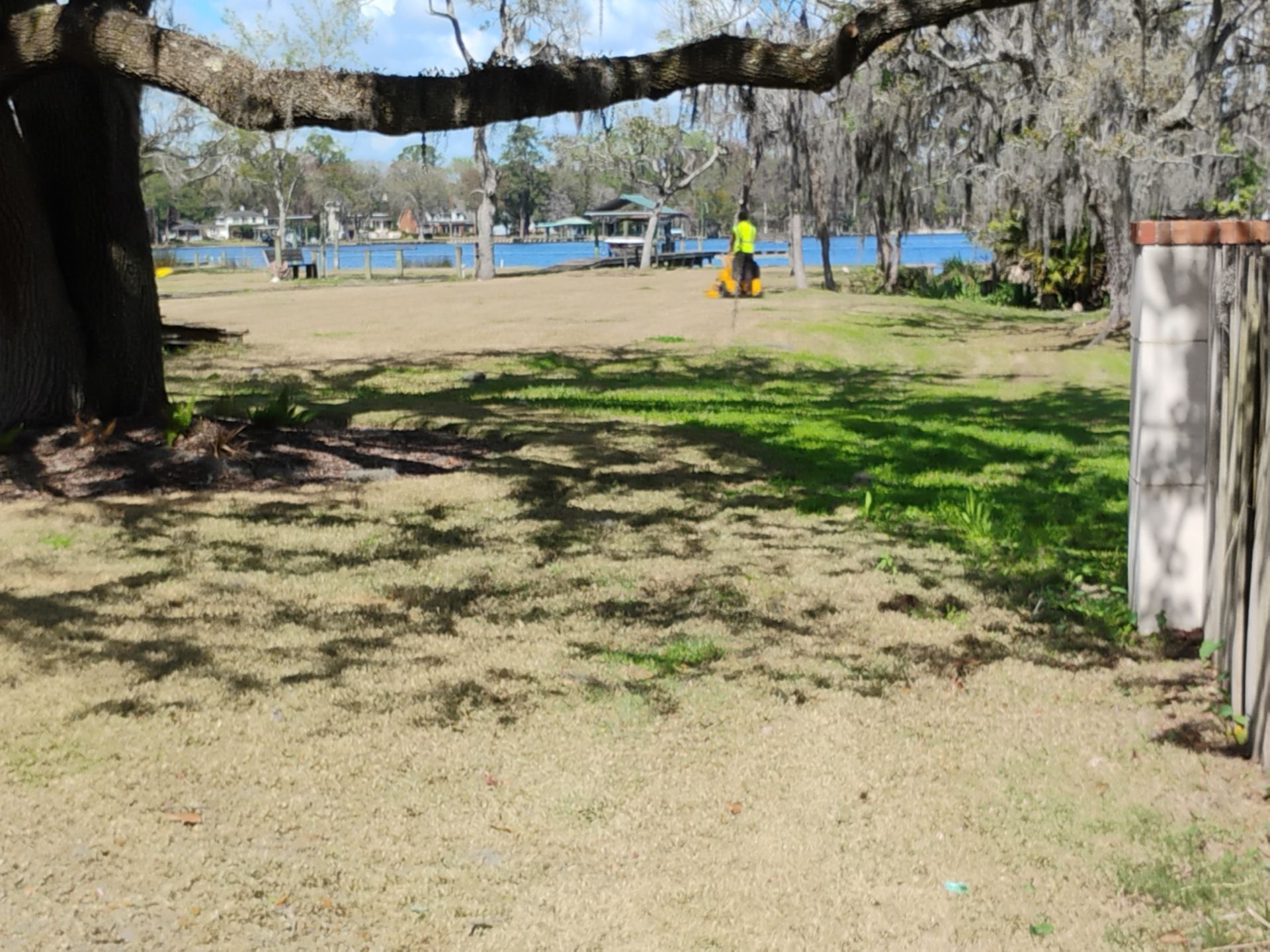 Park with large tree branch, grassy lawn, and a person in a yellow jacket near blue water in the background