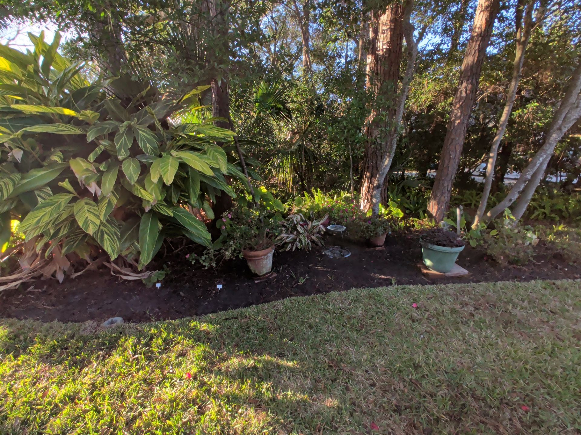 Lush garden bed with potted plants and mulch border, adjacent to green grass, under trees.