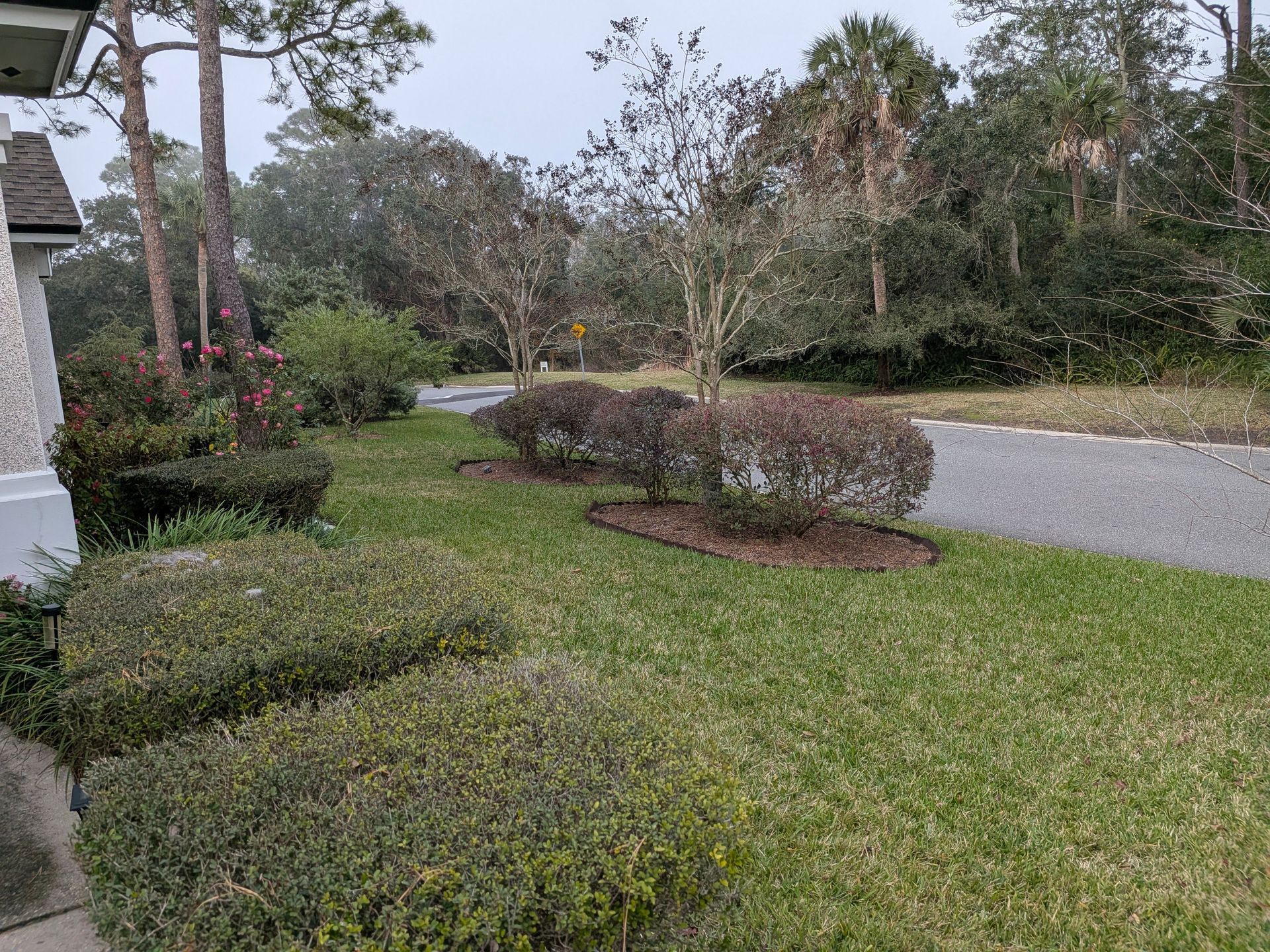 Lawn with trimmed hedges, bushes, and trees near a road. Overcast sky.