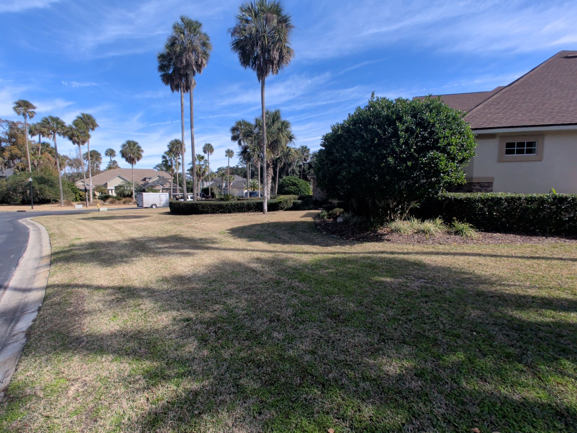 Lawn with palm trees, shrubs, and houses under a partly cloudy blue sky.