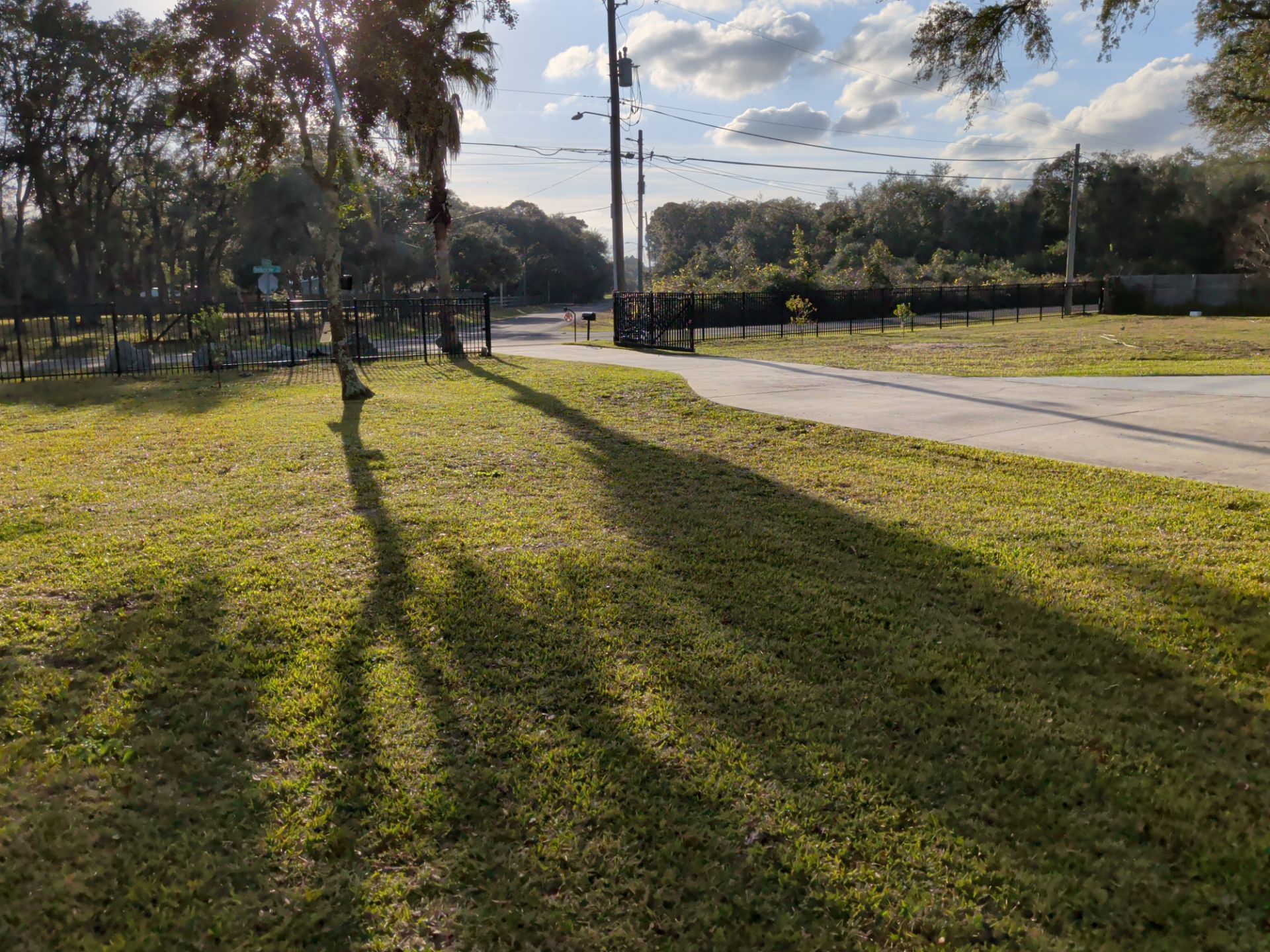 Sunny park with grassy lawn, long tree shadows, and a paved path beside a road and fence.