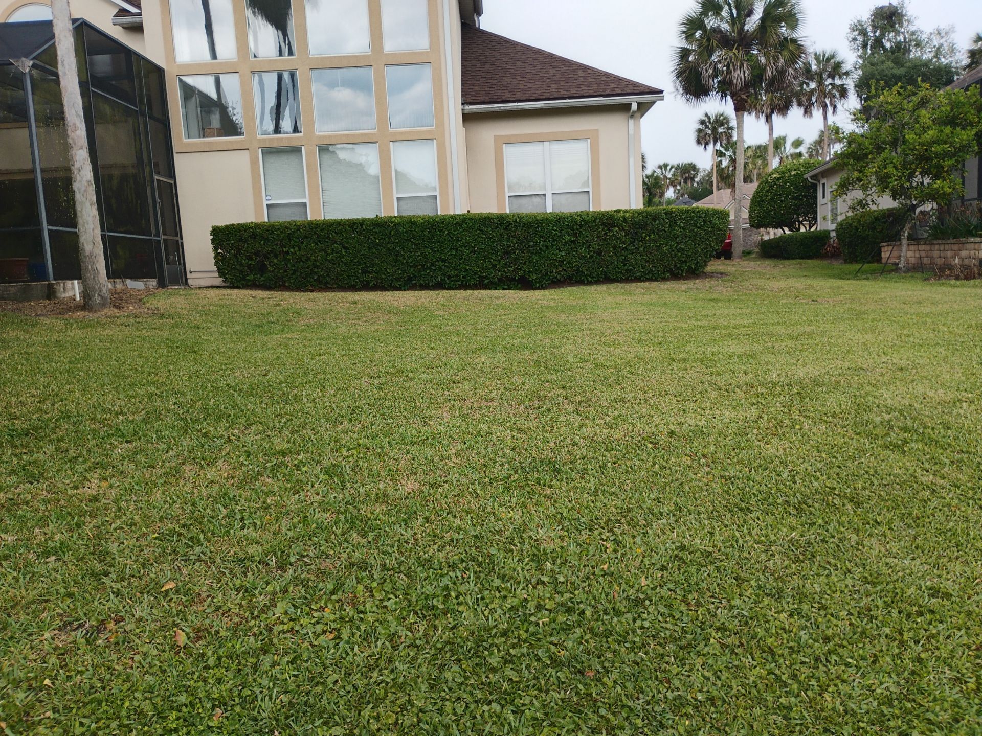 Large grassy yard in front of a beige house with tall windows and trimmed hedges