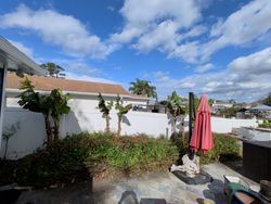 Backyard with white fence, green plants, pink umbrella, and blue sky with clouds.