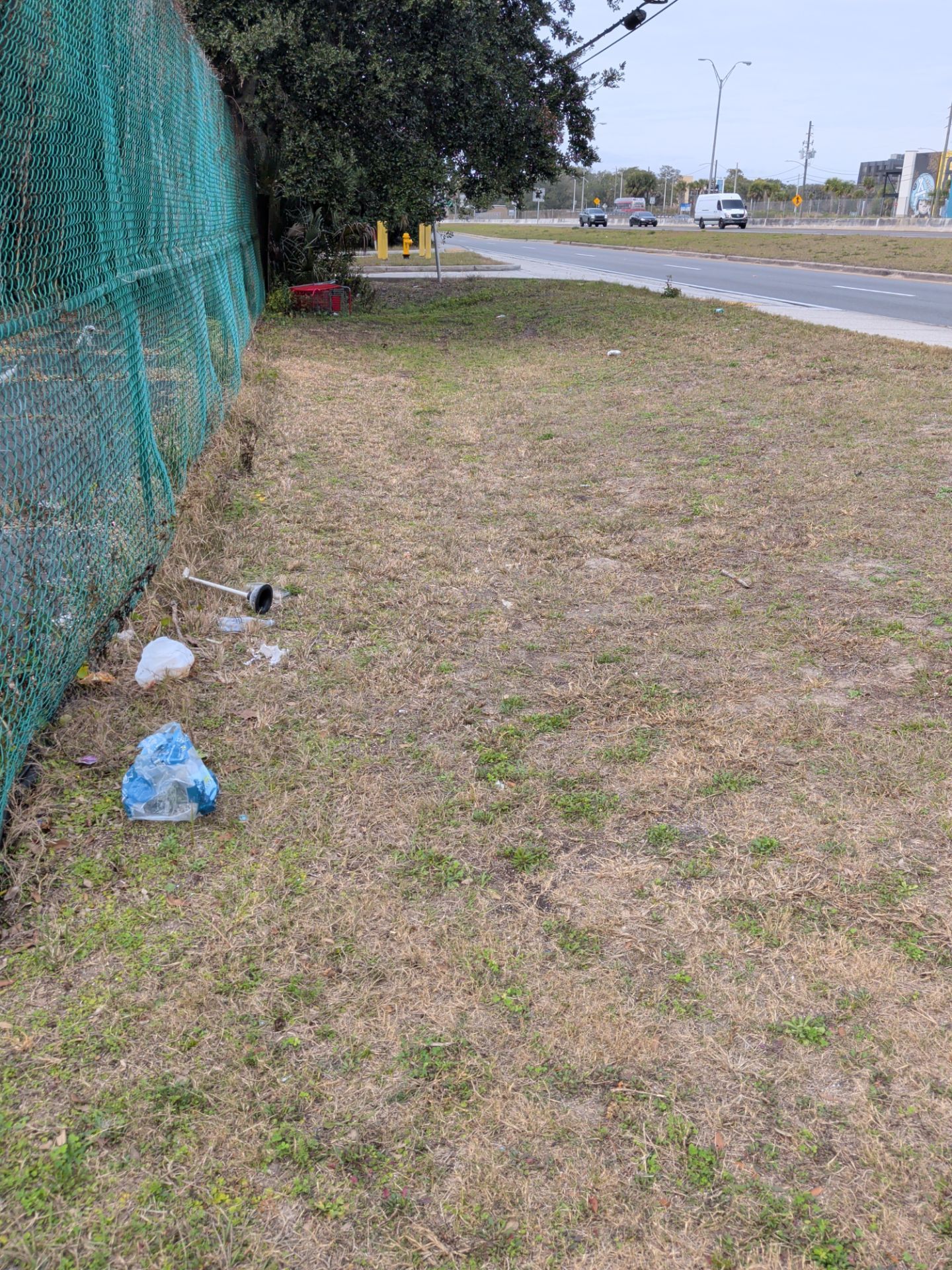 Grassy area with litter along a green fence and road in the background.