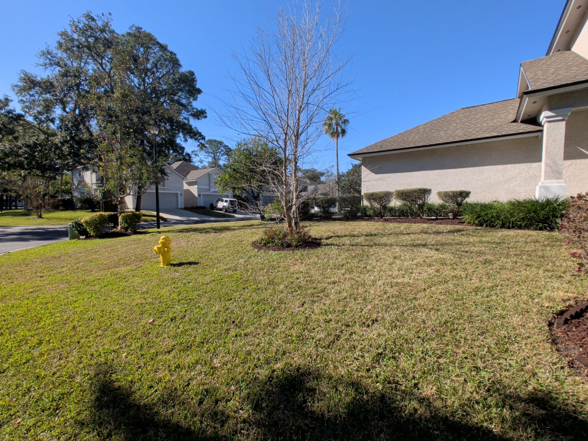 Lawn in front of a house, a yellow fire hydrant, and trees under a clear blue sky.