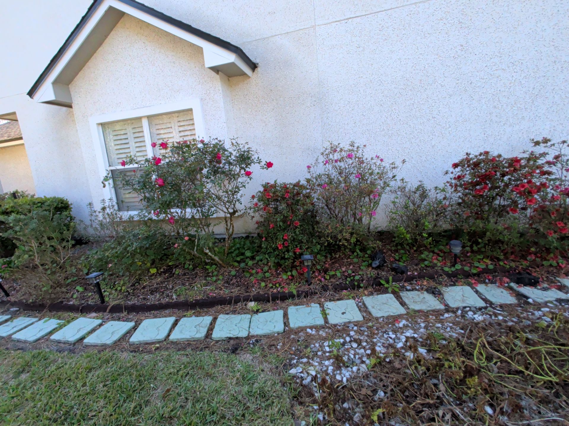 Stone pathway in front of a house, leading to a garden with red flowering bushes.