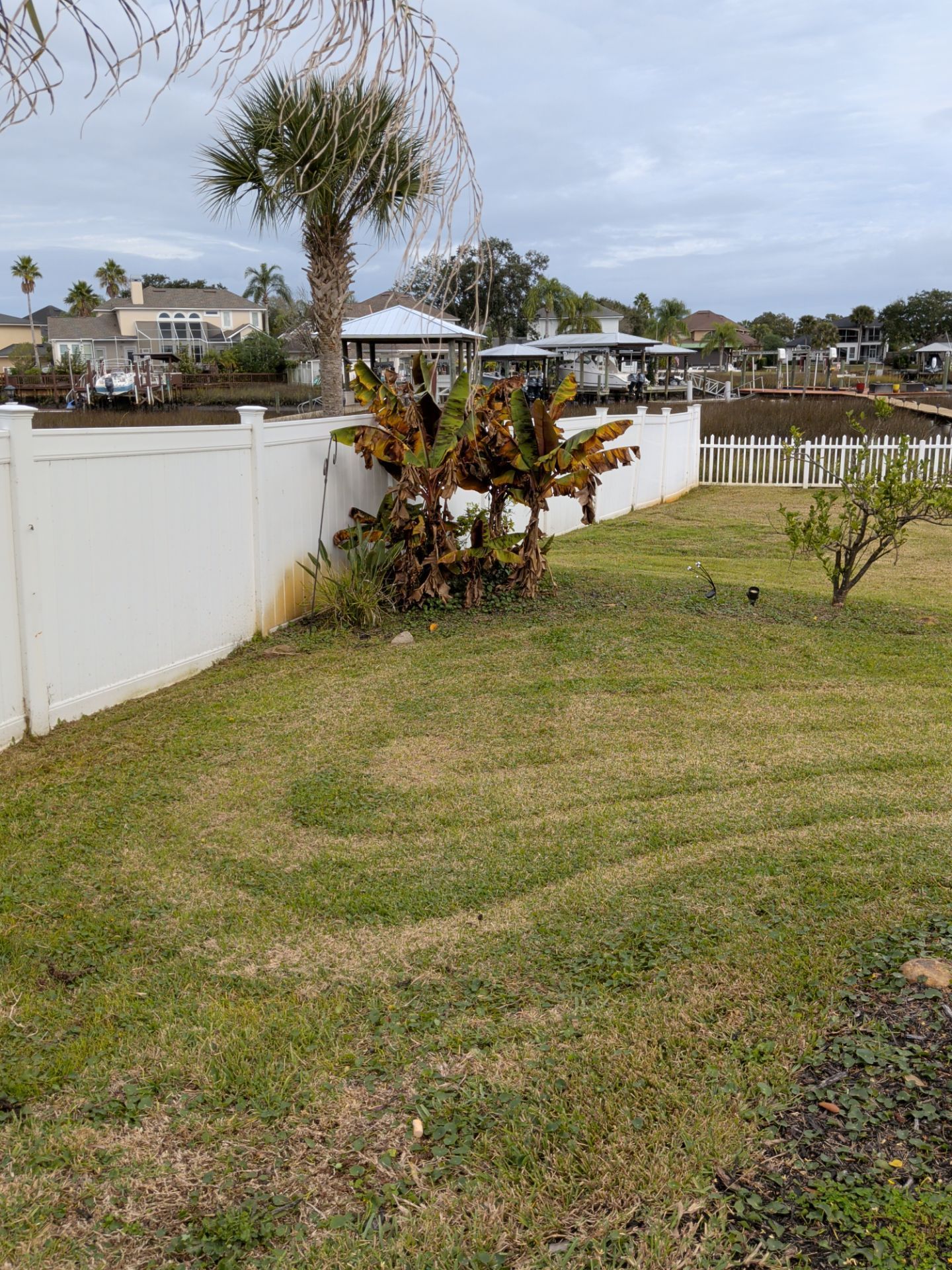 White fenced lawn with tropical plants, palm tree, and outdoor seating near a waterfront under cloudy skies
