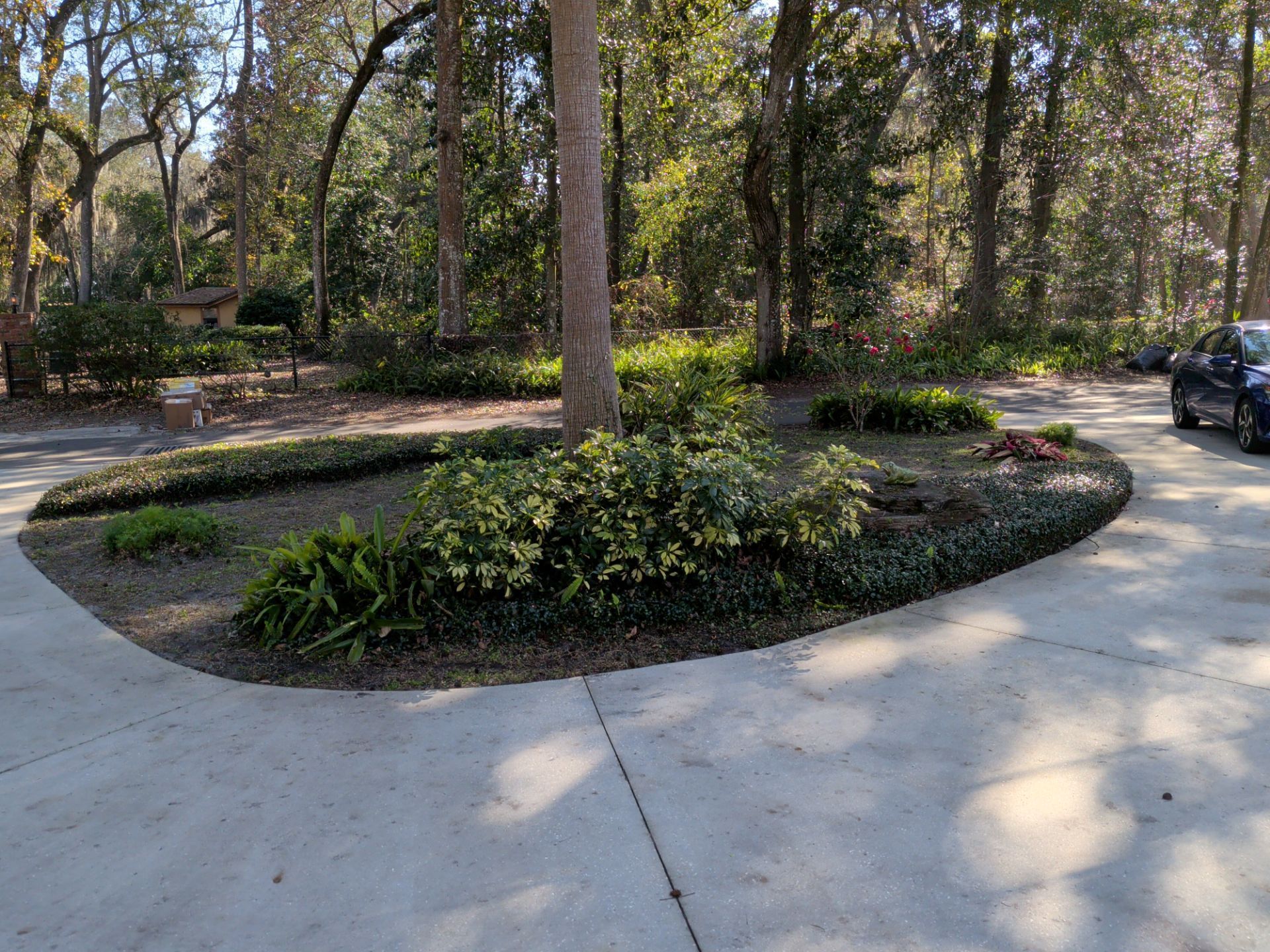 Circular landscaped garden bed with tree in a concrete driveway, surrounded by greenery and trees in background.