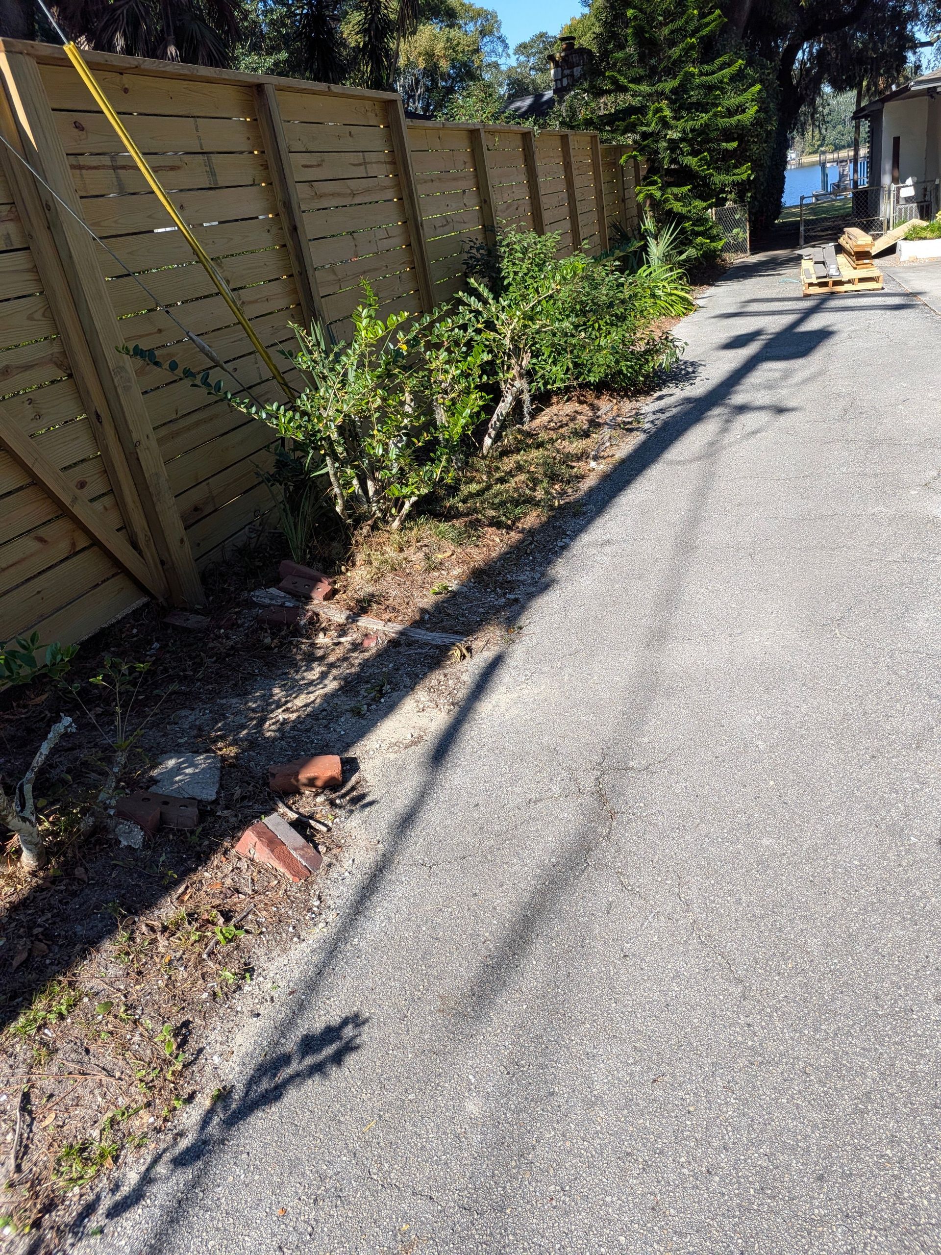 Sunny sidewalk beside a wooden fence and shrubs, with a narrow curb and asphalt path beside it.