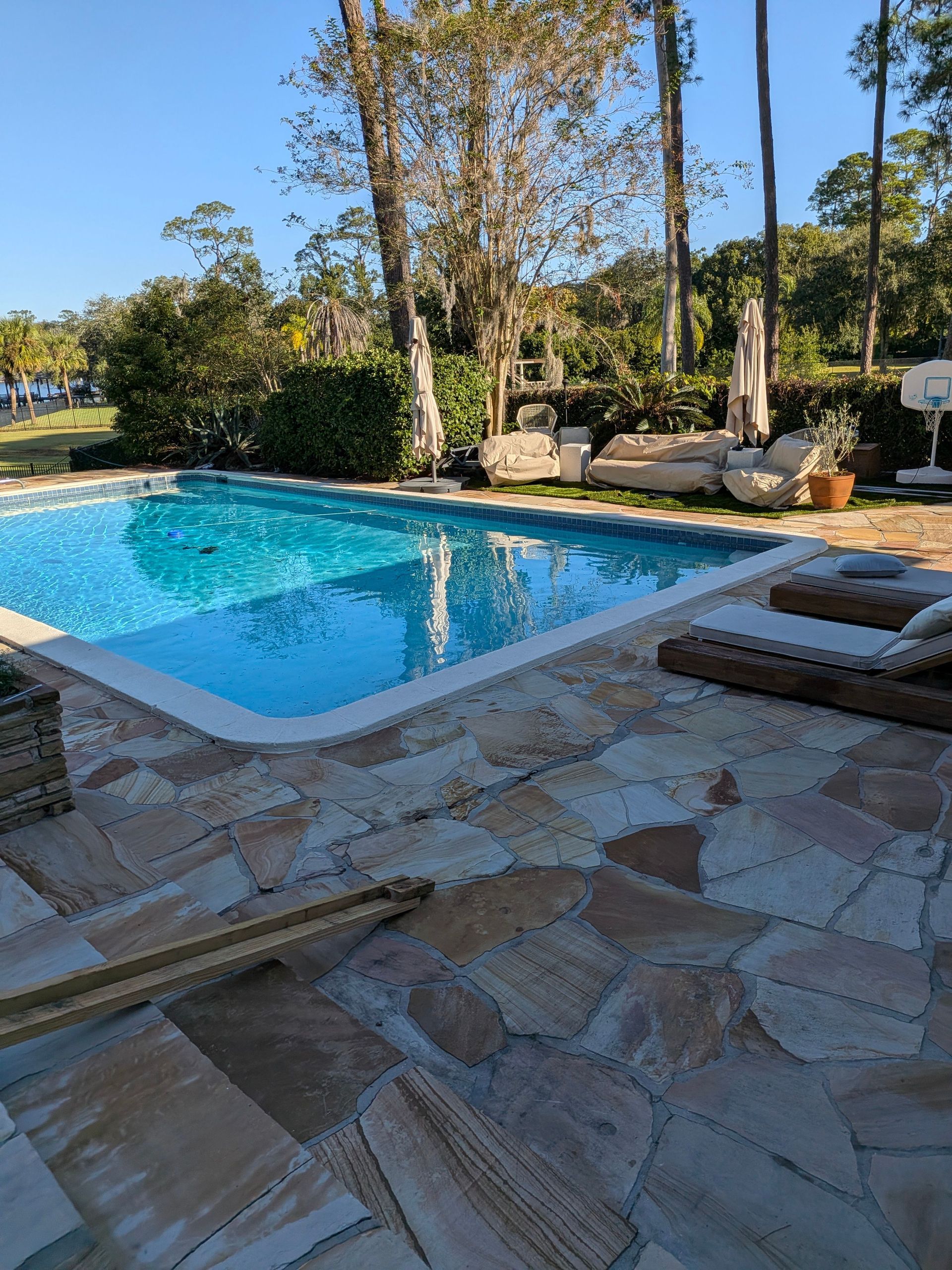 Sunny backyard pool with blue water, stone patio, lounge chairs, and trees nearby
