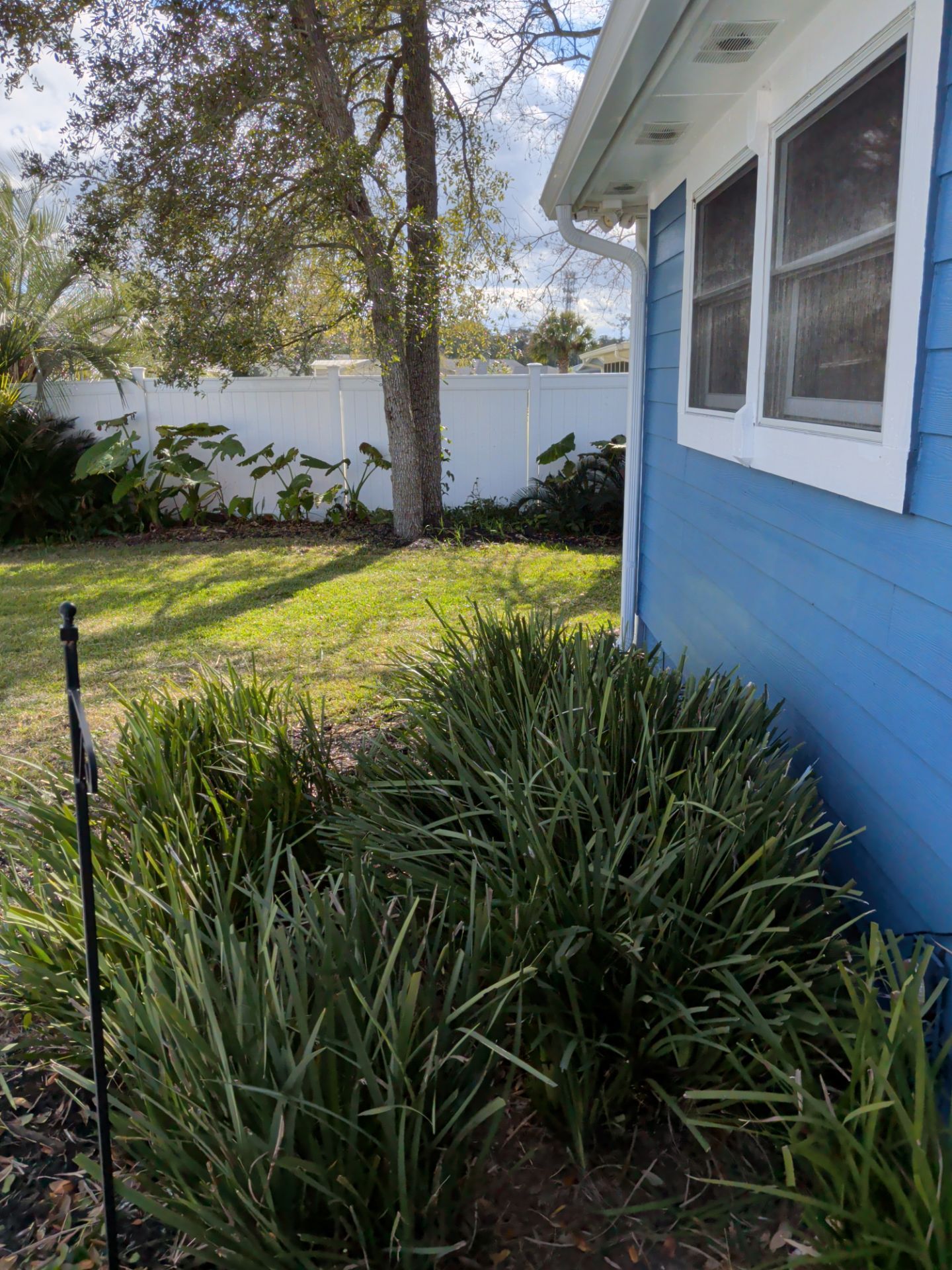 Blue house exterior next to a grassy yard with tall green plants and a white fence.