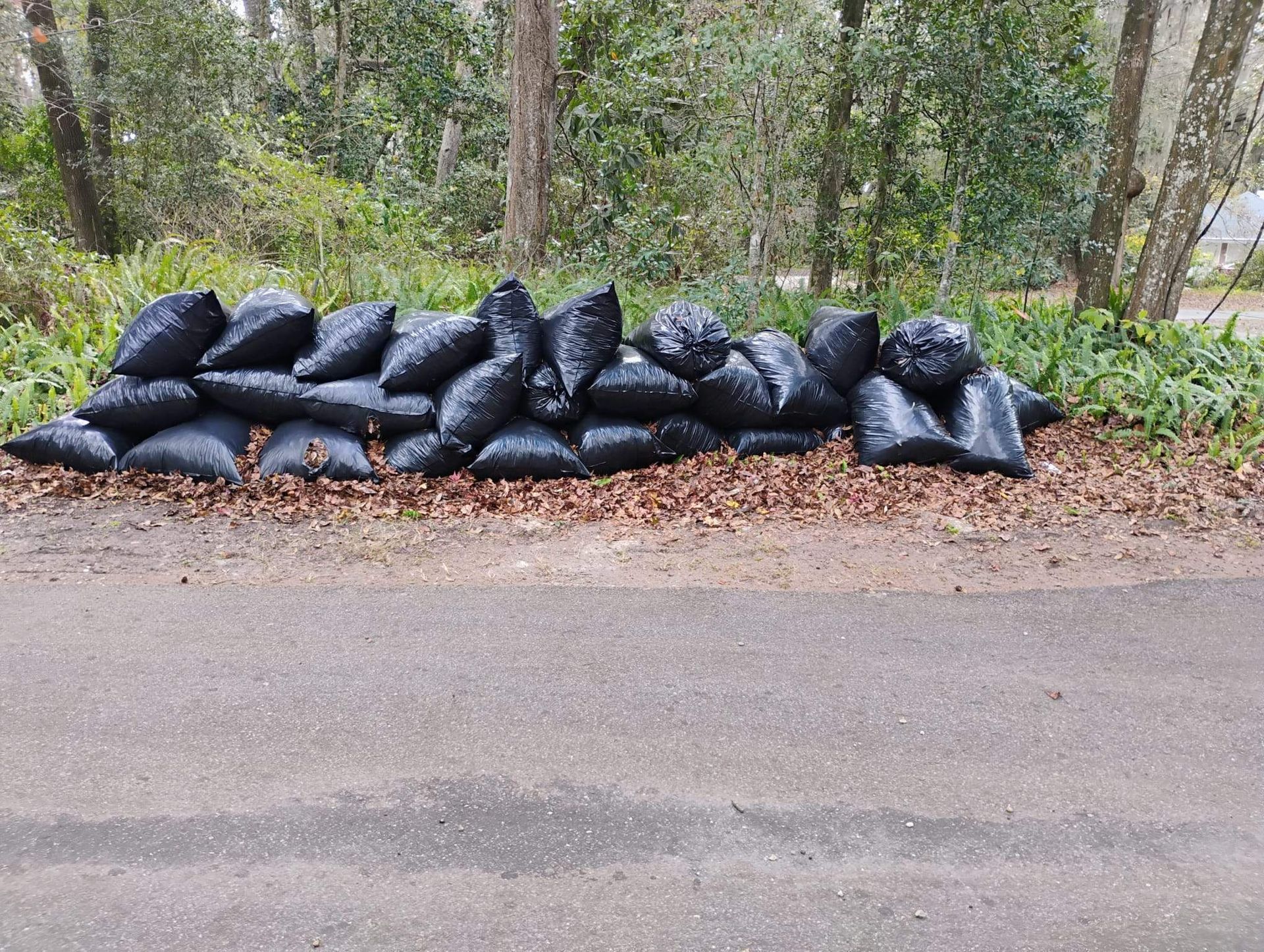 Pile of black trash bags on a roadside, in front of trees and shrubs.