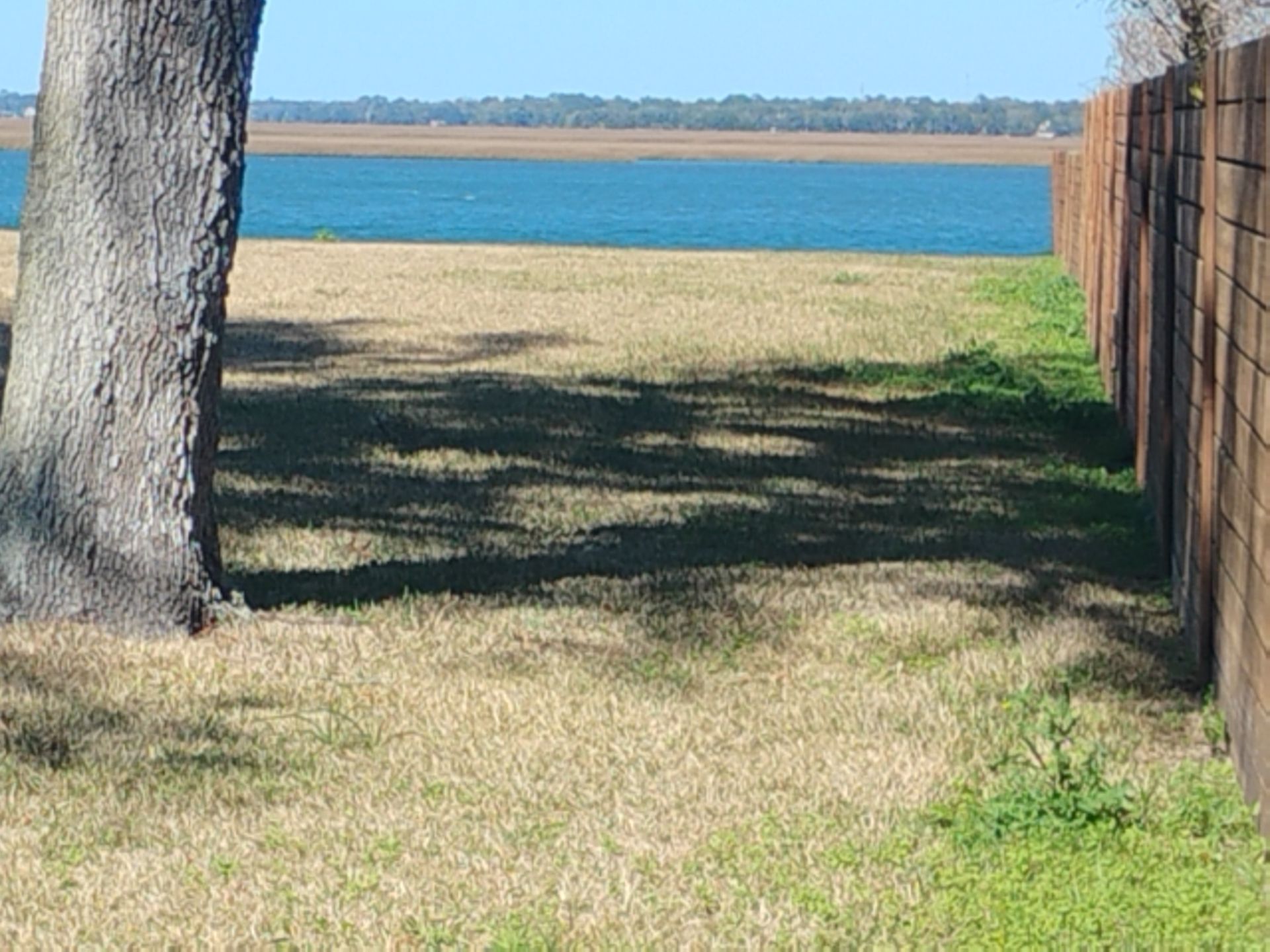 Shaded grassy yard beside a blue lake, with a tree on the left and a fence on the right.