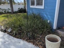 Blue house exterior with tall green grass and a concrete planter.