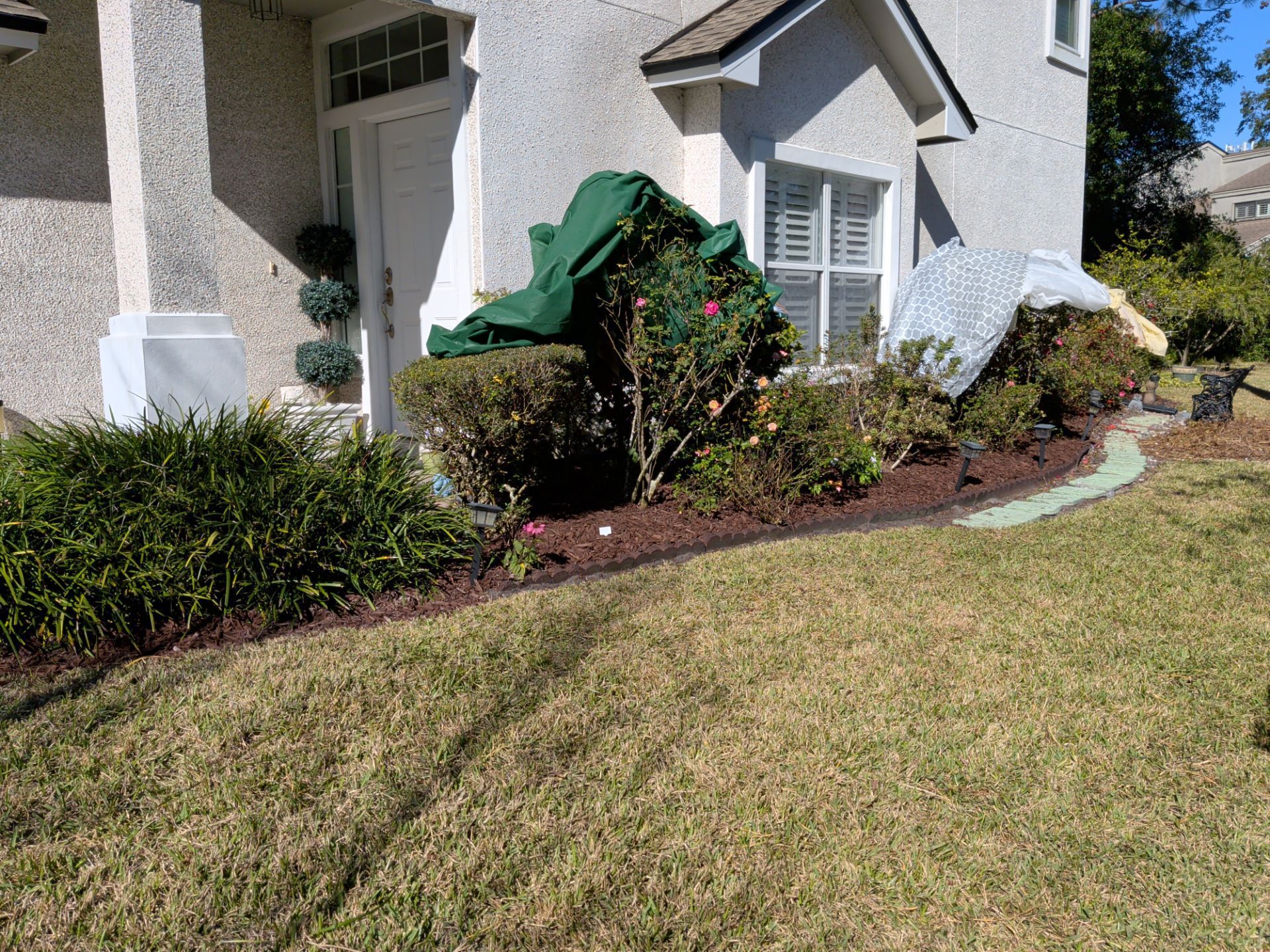 House exterior with shrubs, covered plants, flower bed, and lawn.