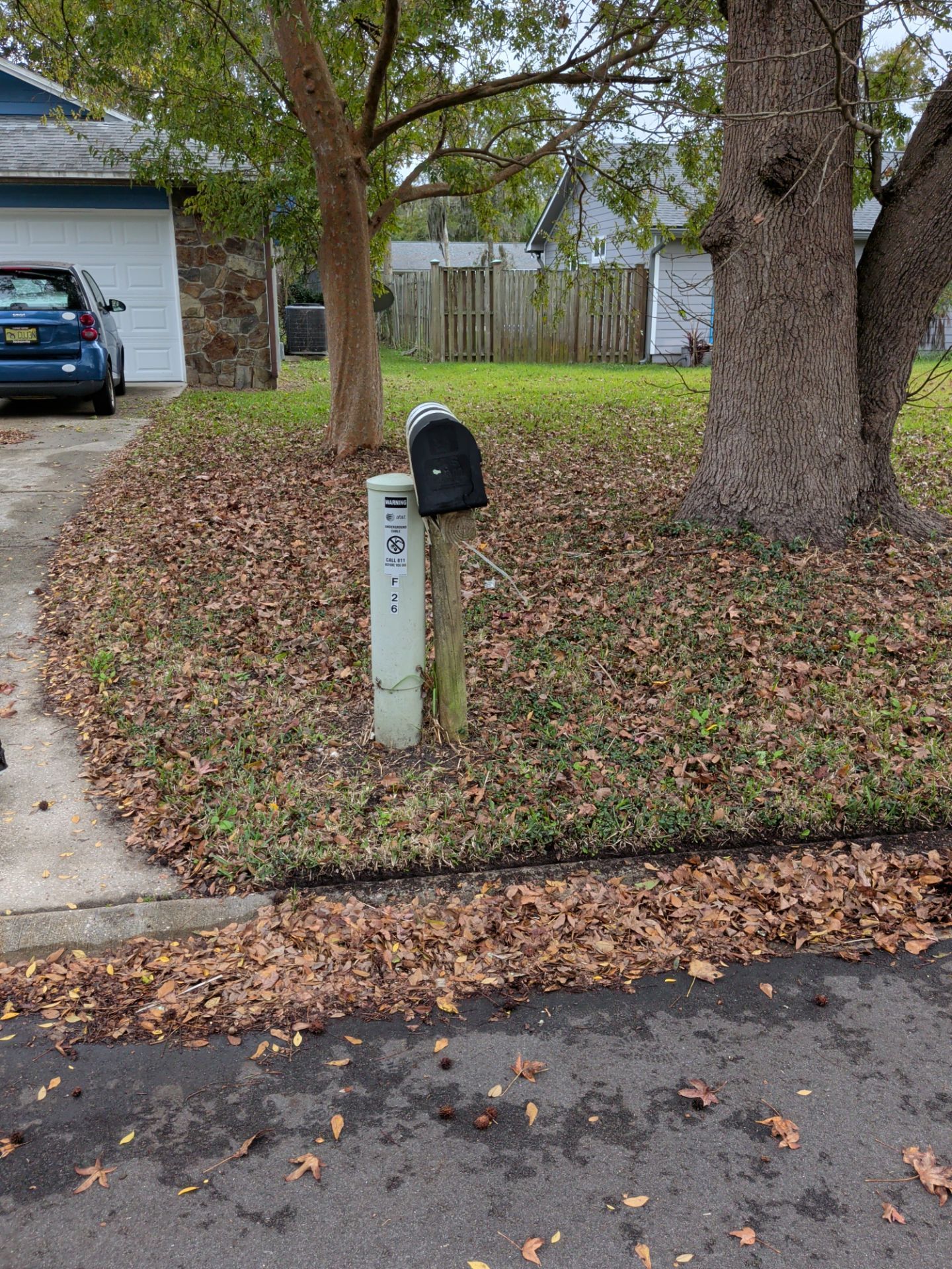 A mailbox on a post in a yard covered in fallen leaves, near a road.