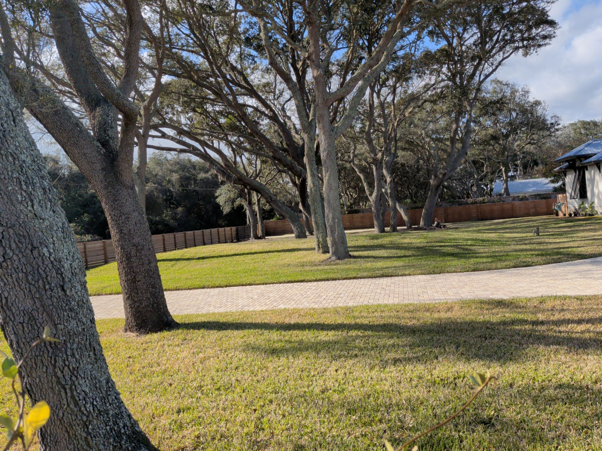 Sunny park with leafless trees, grass, and a gravel path near a fence and building