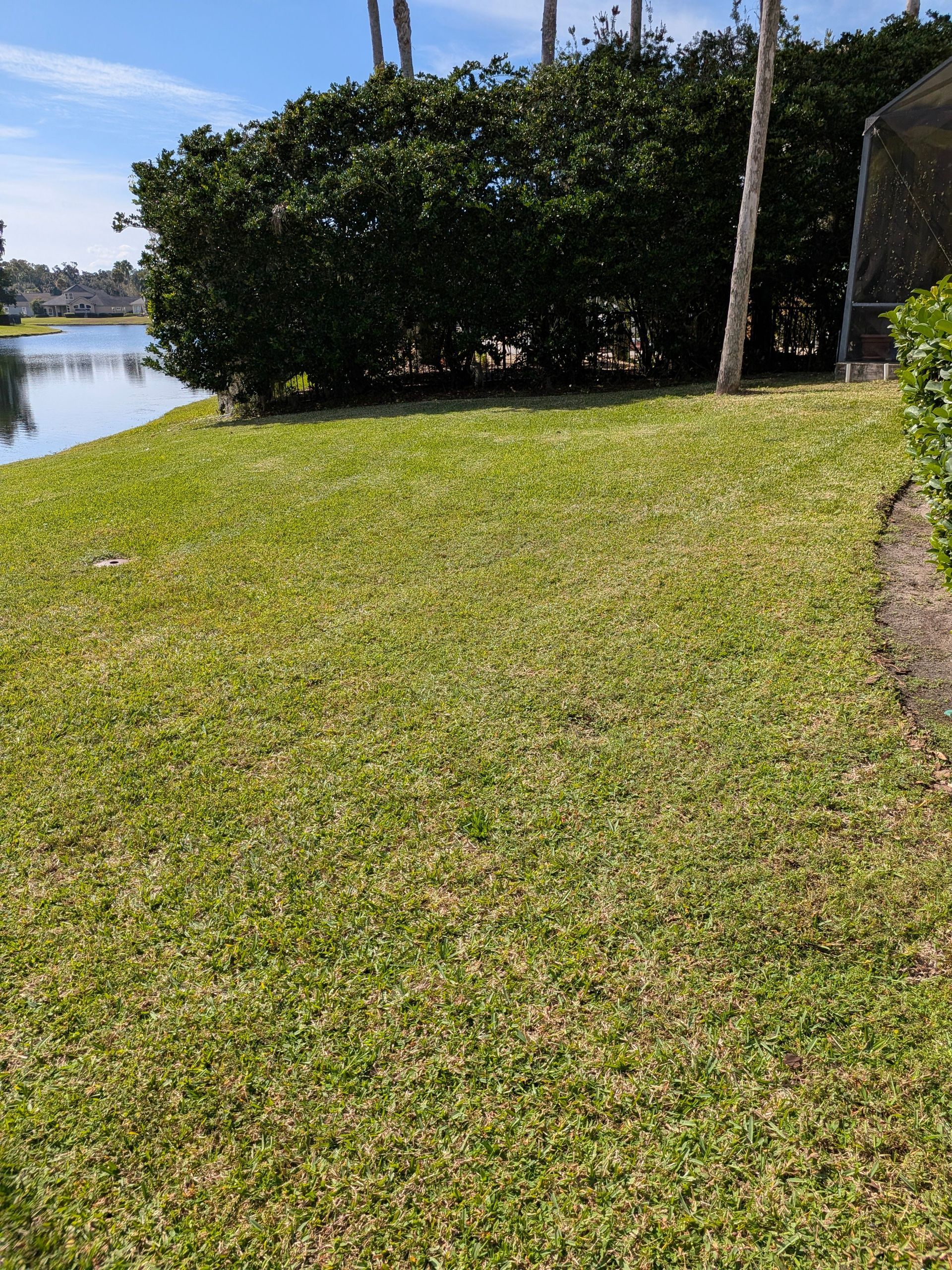 Grassy lawn beside a calm lake, with shrubs and trees under a clear blue sky.