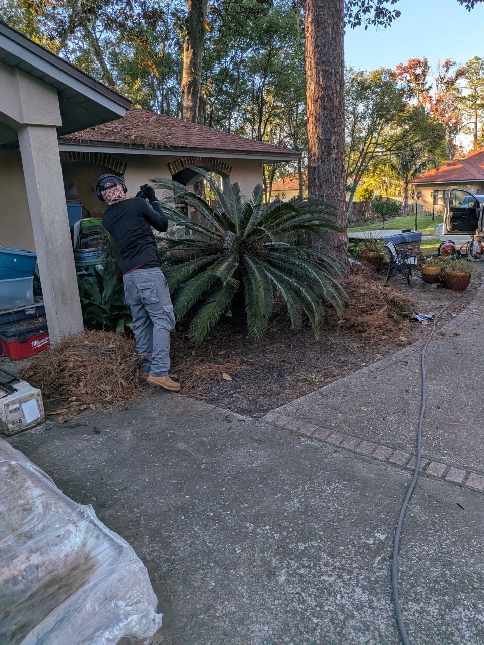 Person trimming a large shrub beside a driveway and garage in a residential yard