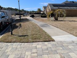 Sidewalk and grassy strip in front of houses with a mailbox and parked vehicles on a sunny day.