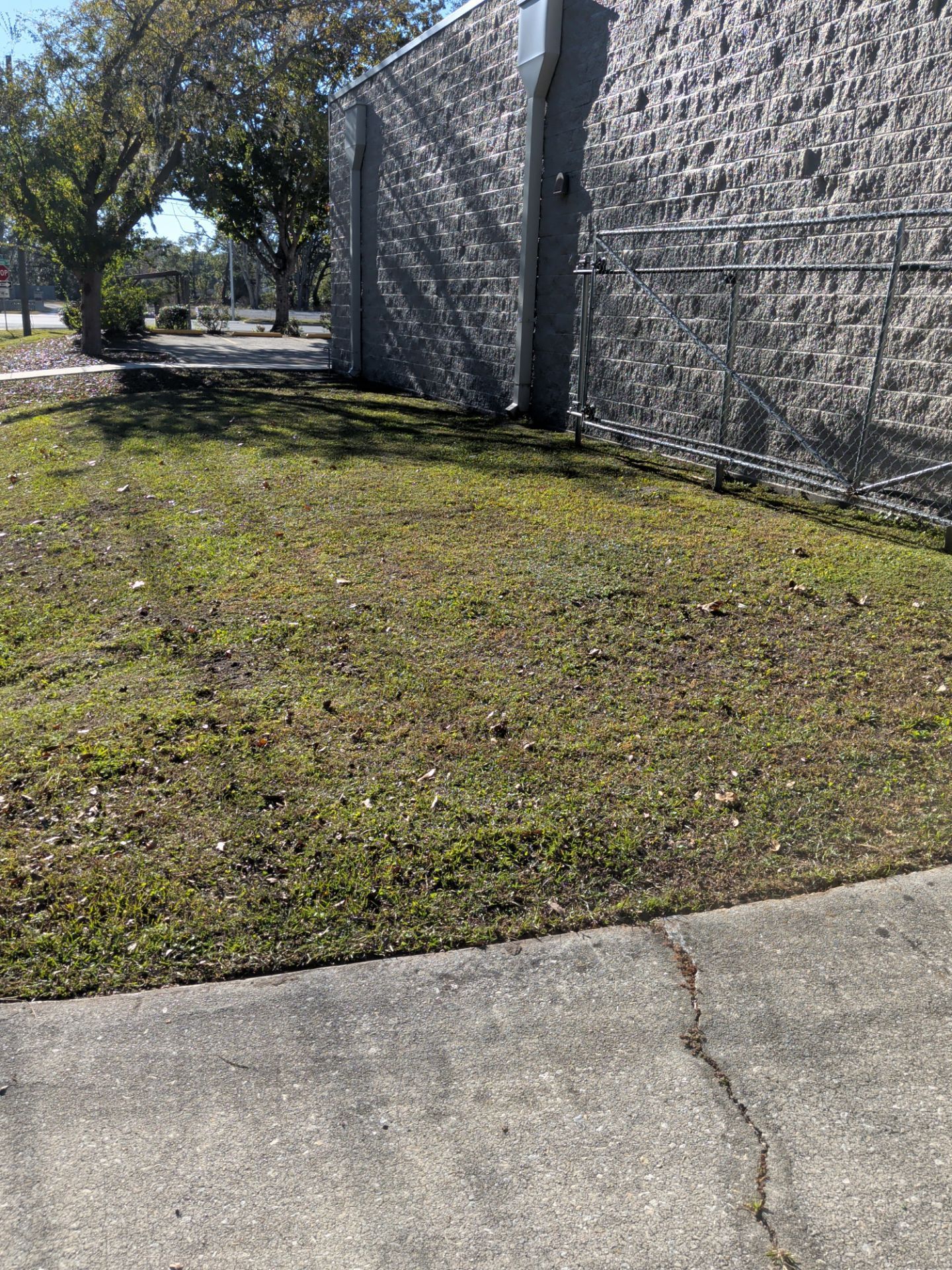 Lawn next to building with a sidewalk in foreground. Sunny day, shadows on building.