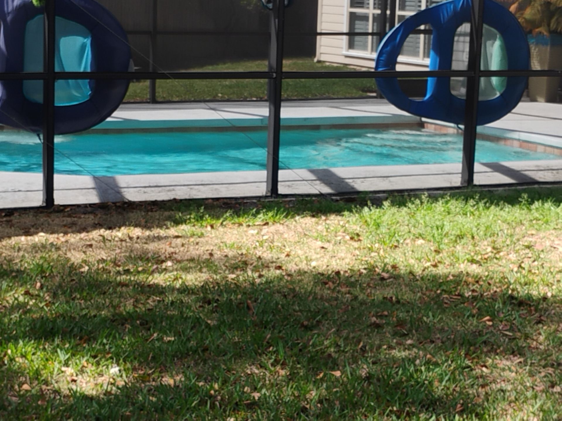 Backyard pool behind glass fence, with blue pool noodles and sunlit grass in foreground