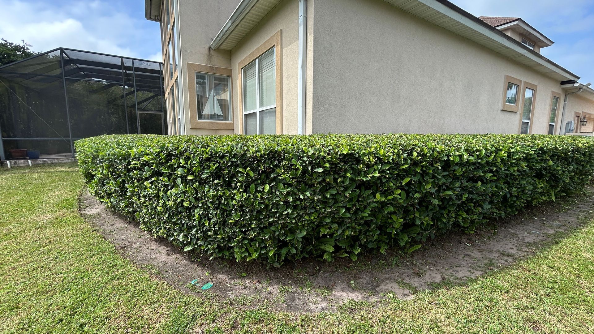 Trimmed green hedge along the side of a beige house beside a grassy yard