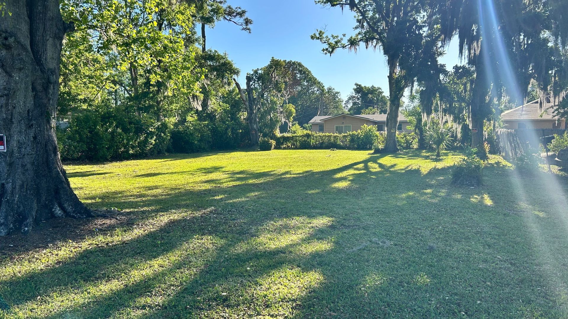 Lawn with sun dappled grass. Trees and a house in the background. Bright sunlight.
