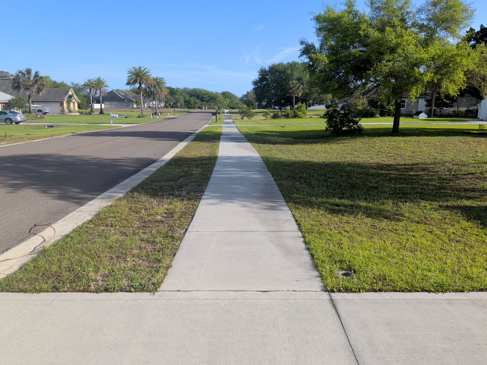 Quiet suburban street with a sidewalk, grassy lawns, and trees under a clear blue sky