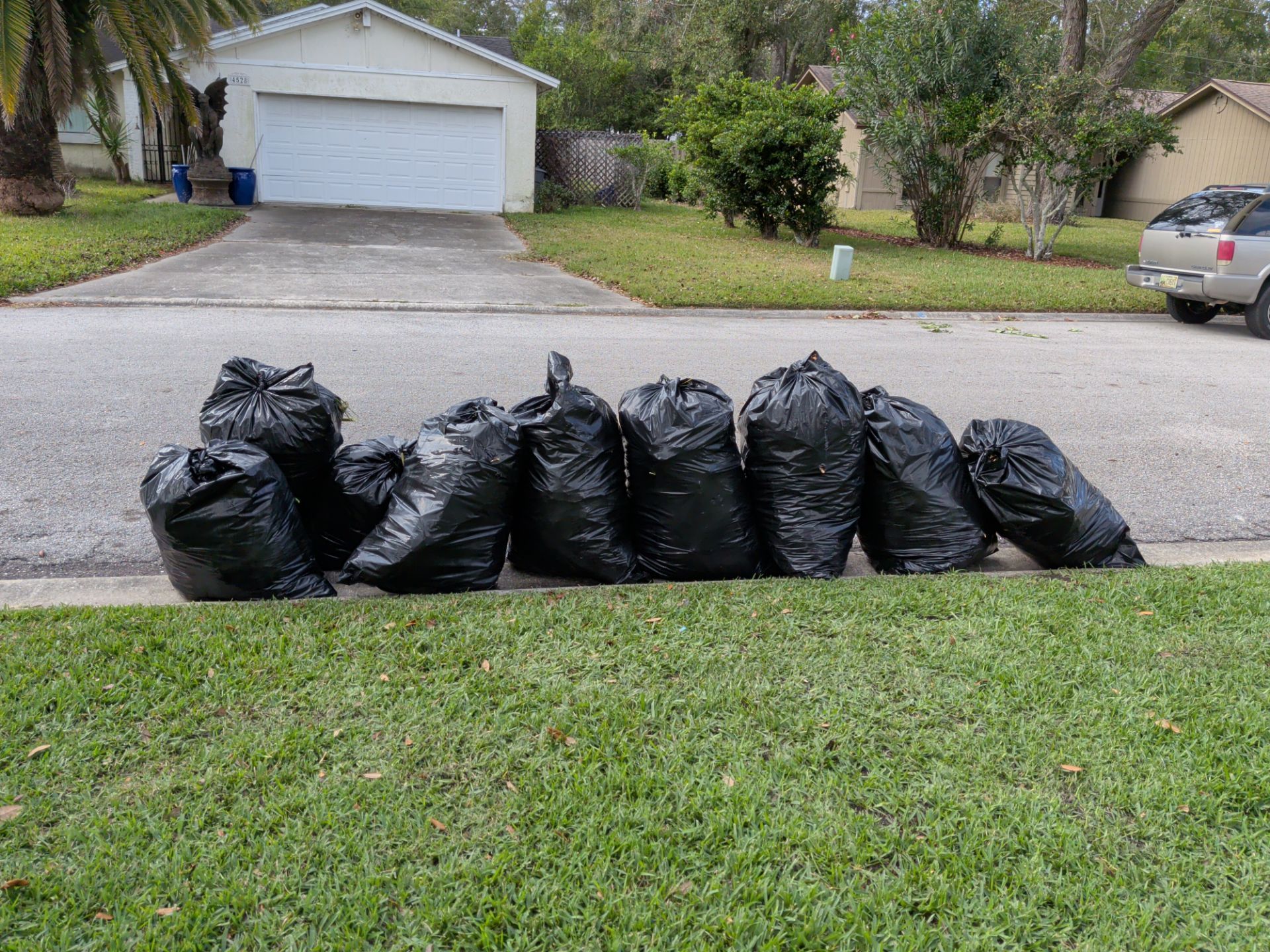Black garbage bags lined up on a driveway beside a grassy lawn and garage.