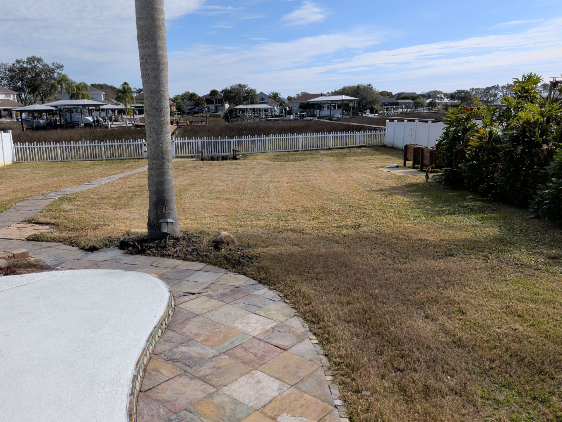 Backyard view with a palm tree, lawn, patio edge, and waterfront homes beyond a fence