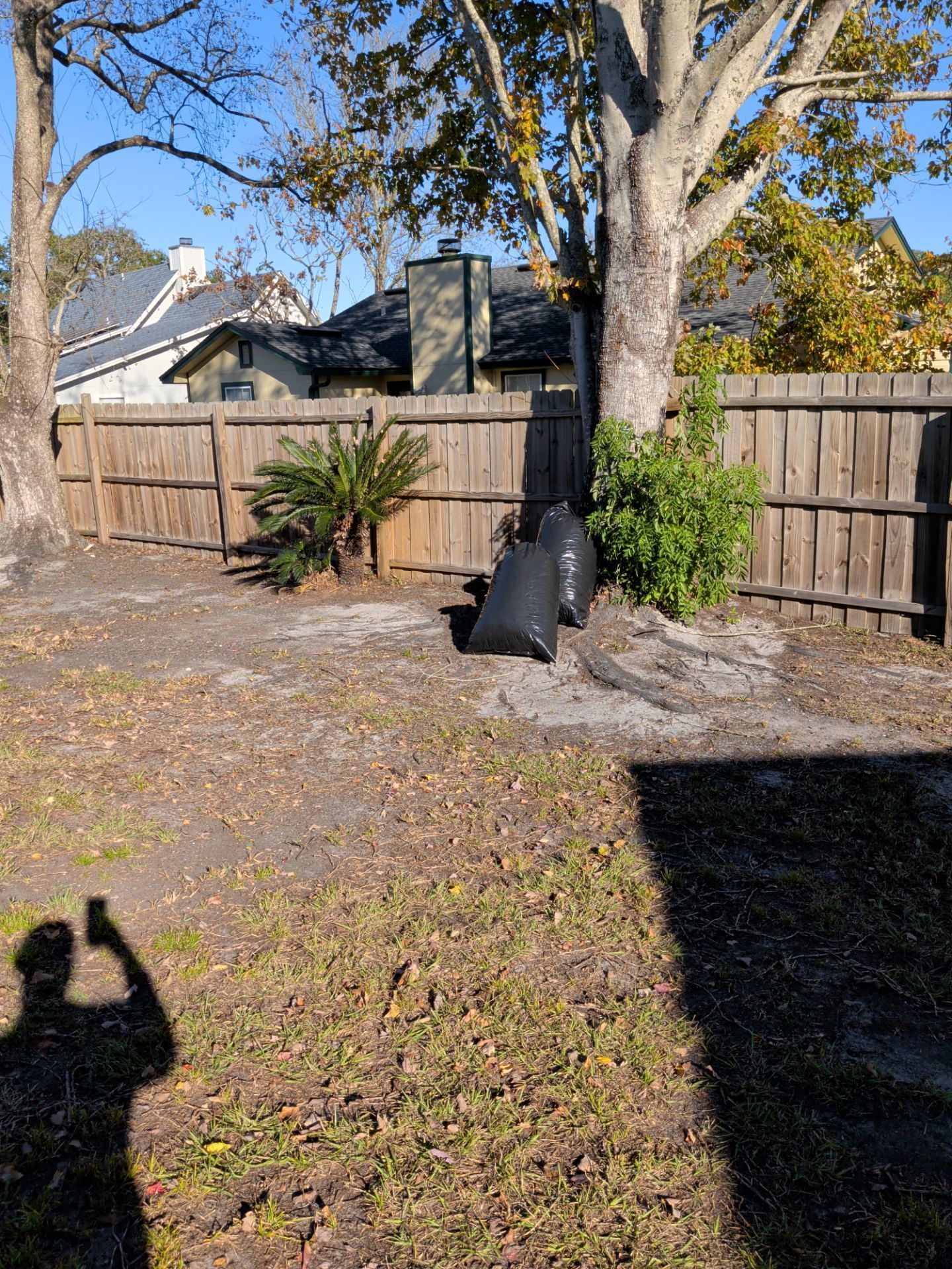 Backyard scene with two black trash bags near a wooden fence and trees on a sunny day.