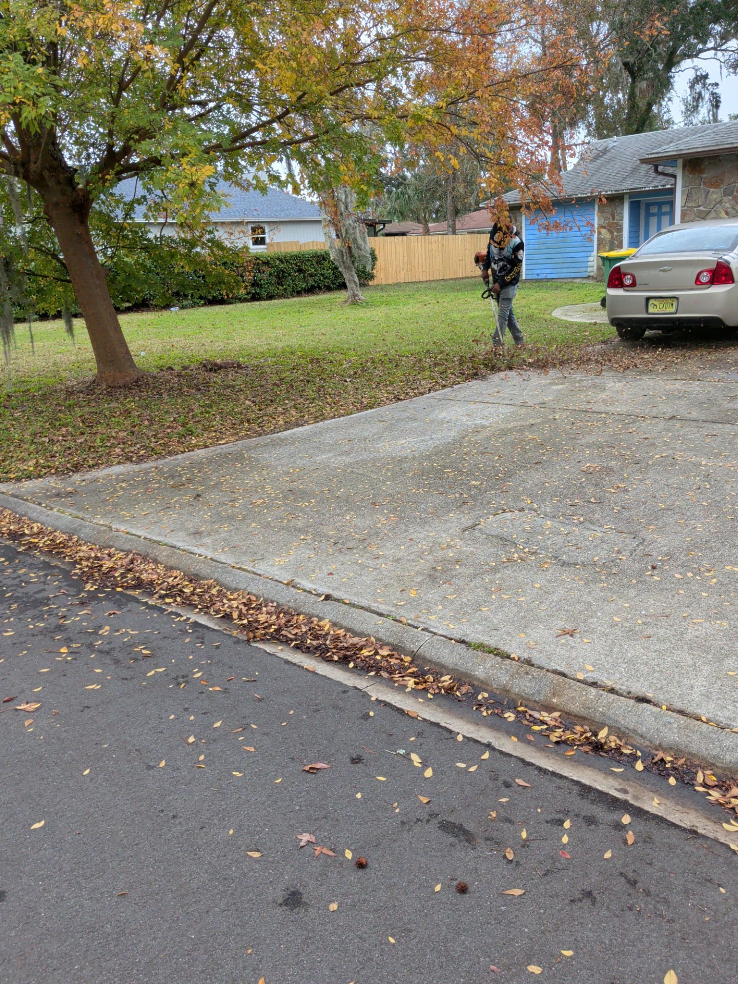 Person using a leaf blower on a lawn with scattered leaves; houses and a car in the background.