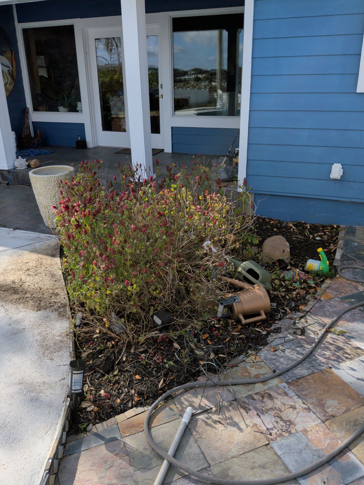 Blue house with a garden bed, containing plants and gardening tools, next to a paved pathway.