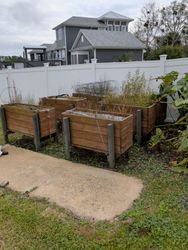 Wooden raised garden beds in a yard, with a white fence and a gray house in the background.